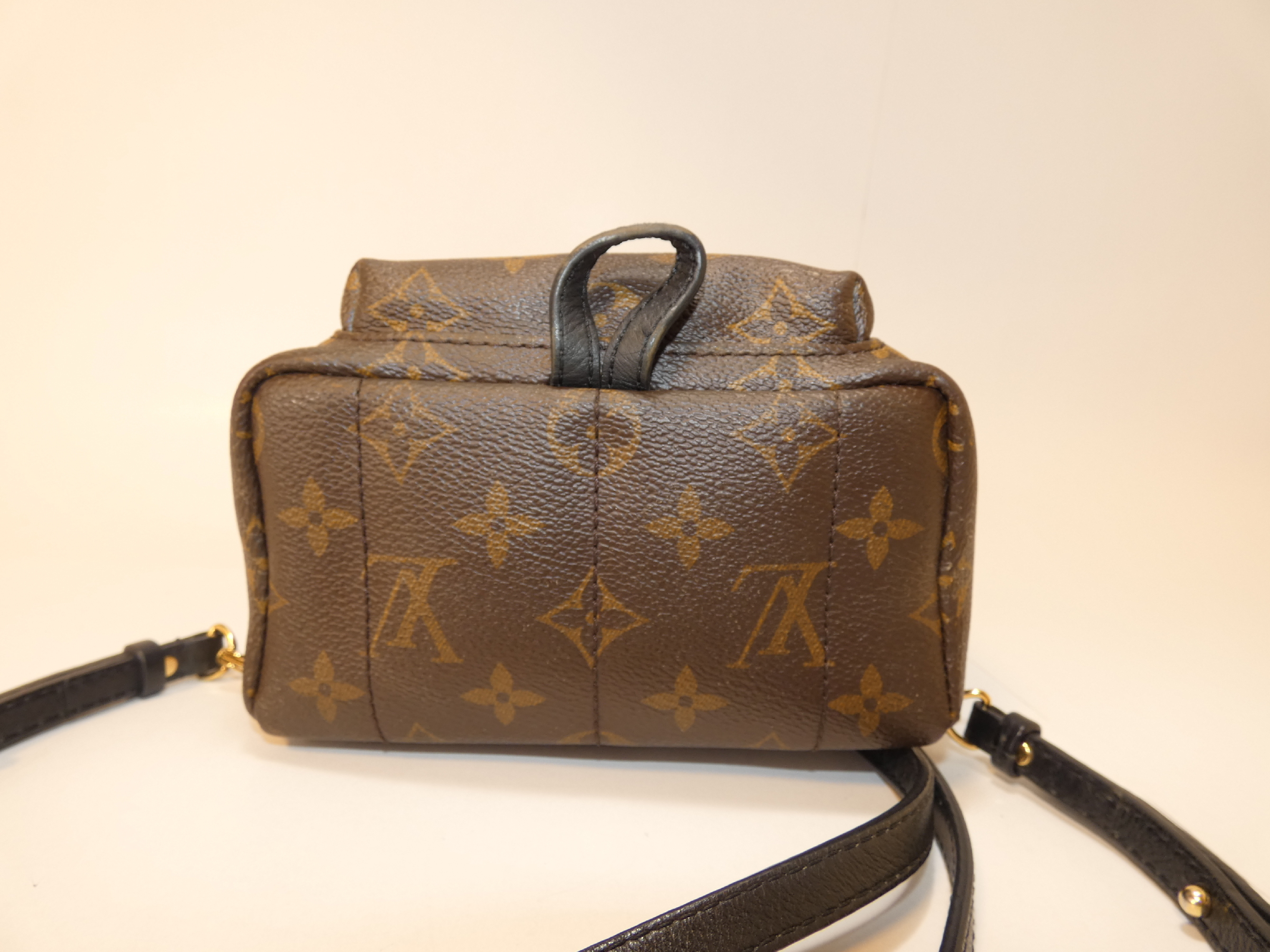 Palm Springs Monogram Backpack — view 5