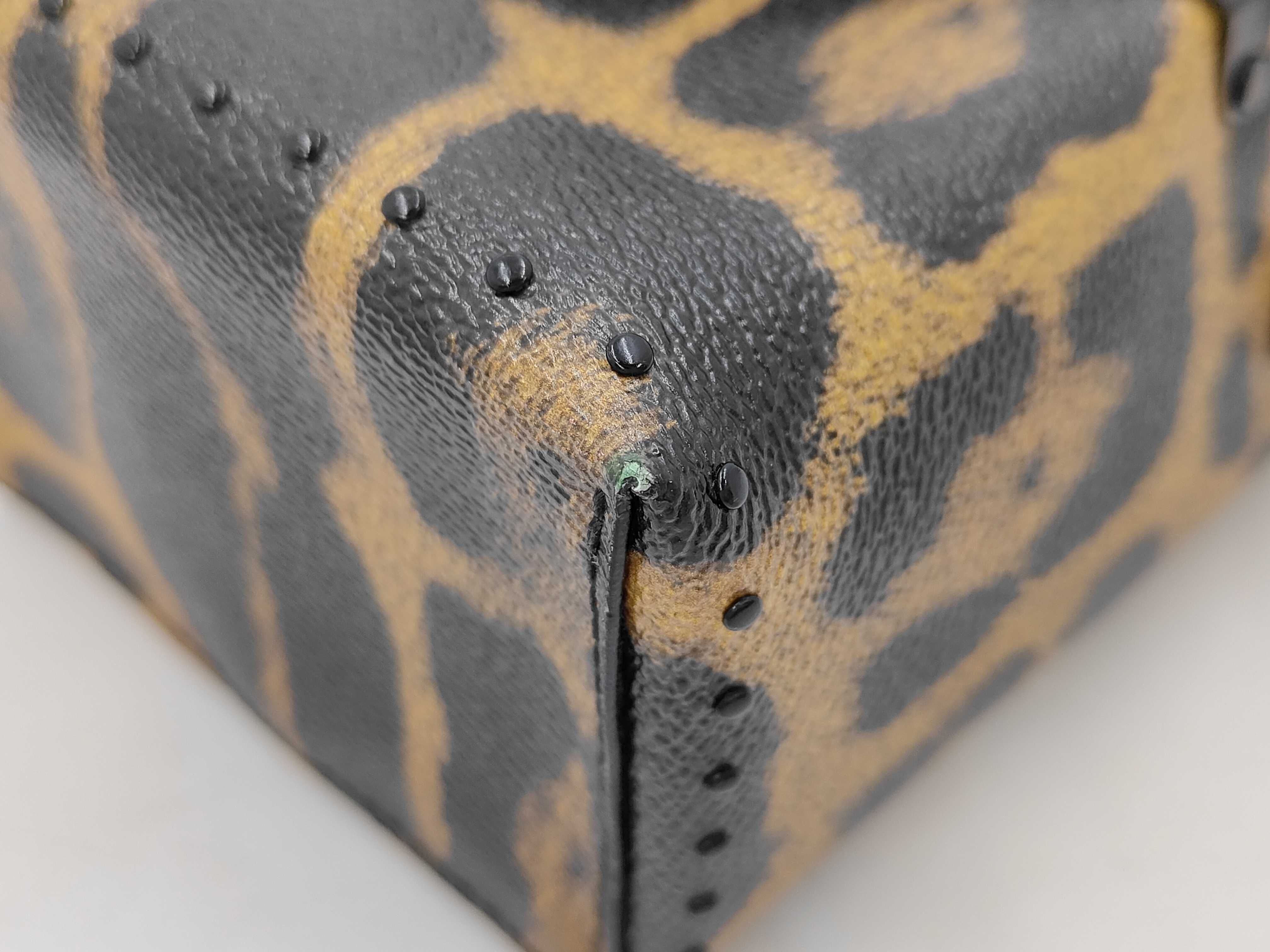 M43001 Monogram Leopard Camera Box Shoulder Bag Handbag — view 10
