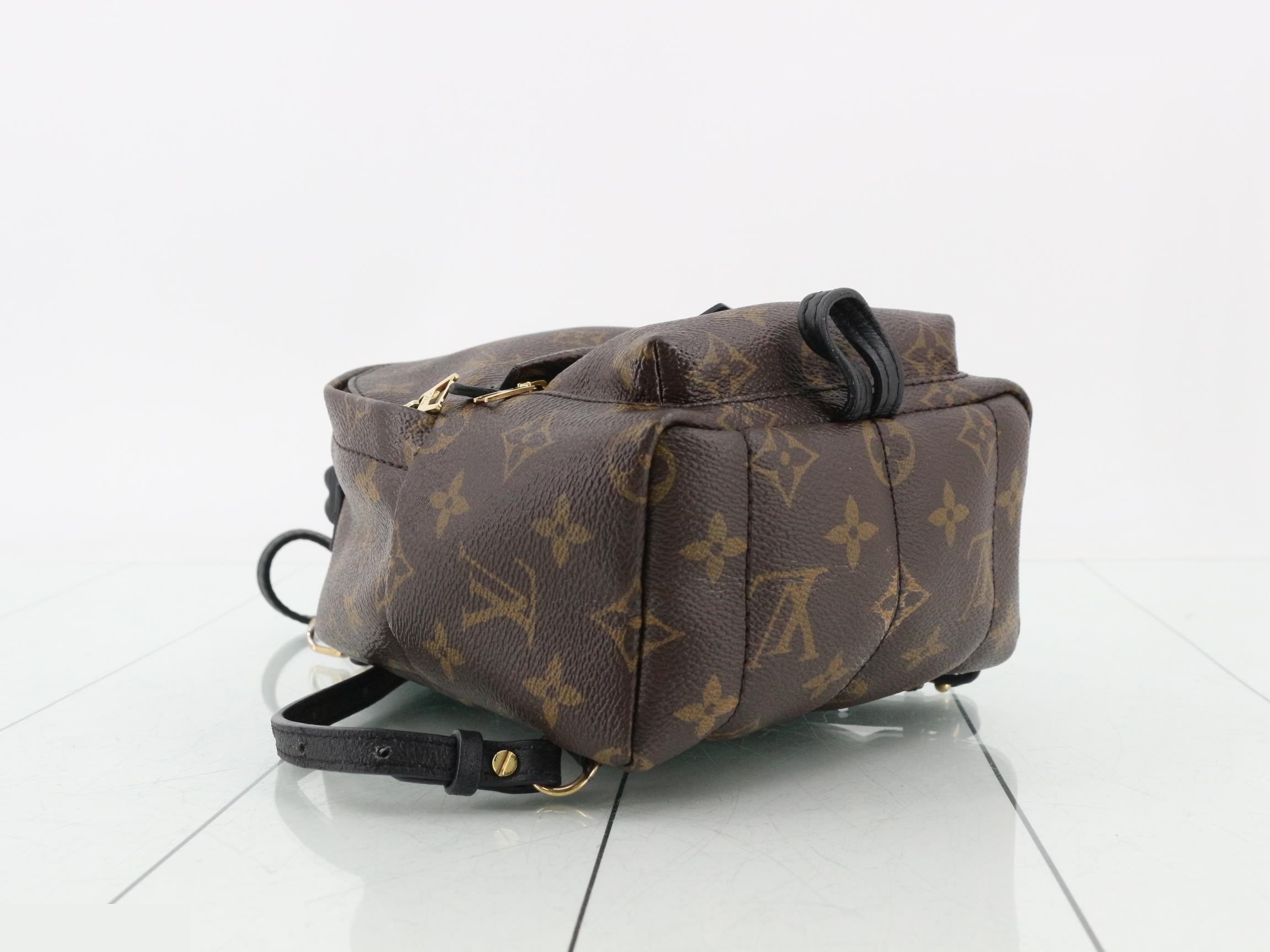 Monogram Palm Springs Backpack MINI — view 5