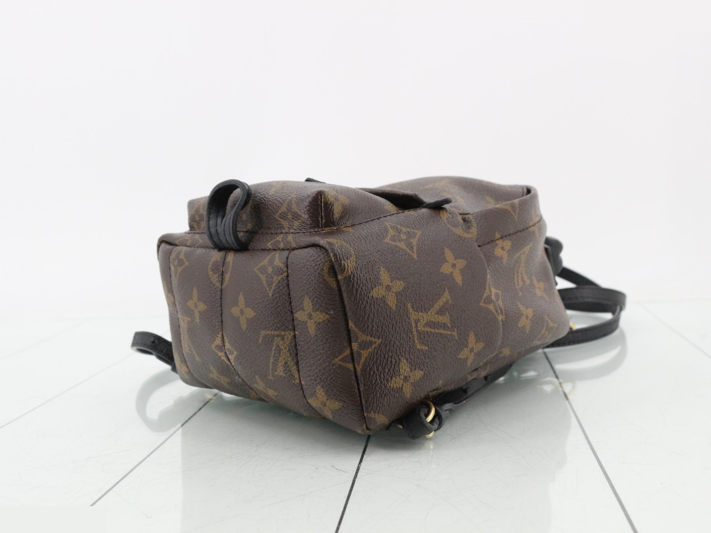 Monogram Palm Springs Backpack MINI — view 6