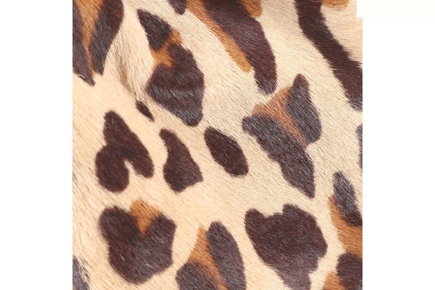 Calf hair leopard print leather handbag (8BR554) — view 10
