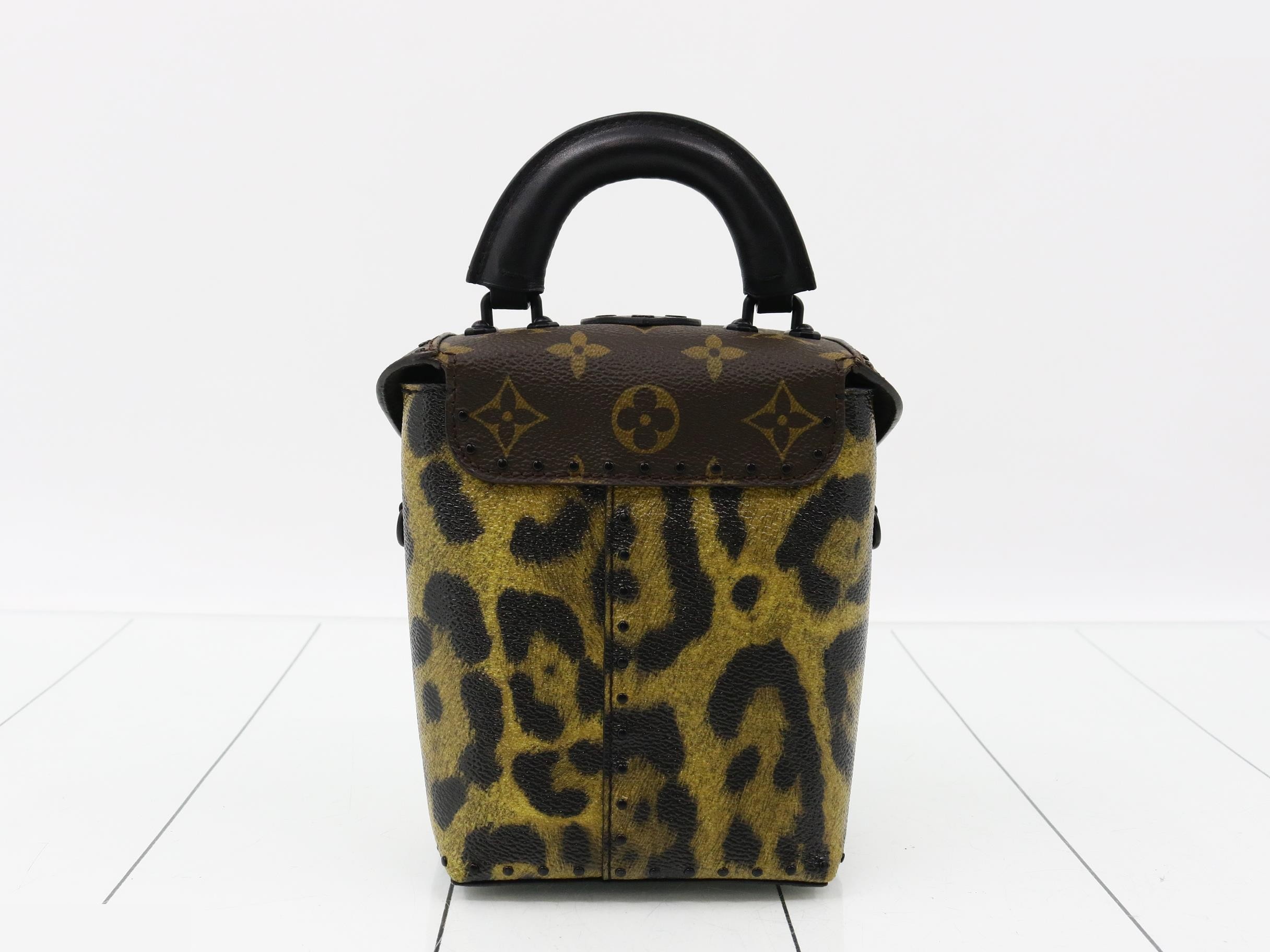 Monogram Reverse Leopard Camera Box 2-Way Handbag — view 2