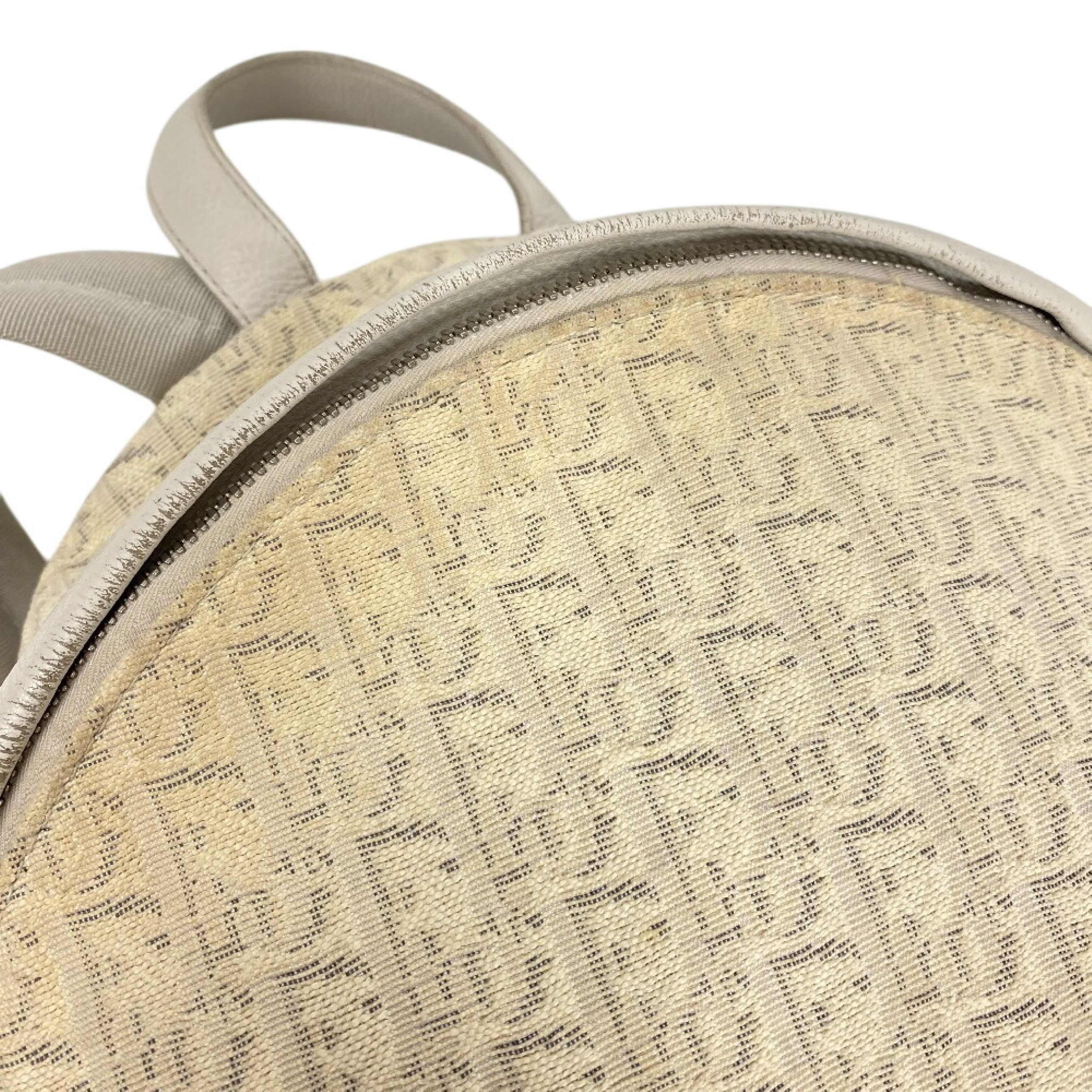 Backpack Rider Oblique Trotter Rucksack Canvas Daypack — view 6