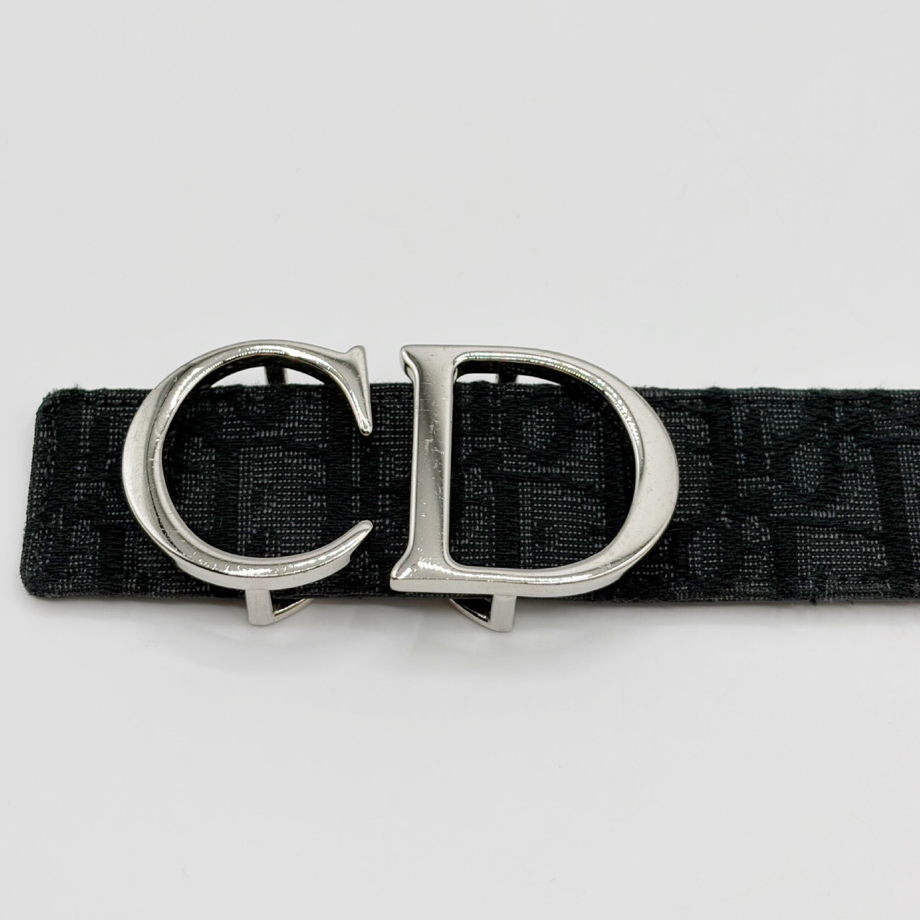 Oblique Jacquard Belt with CD Logo and Silver Buckle — view 8