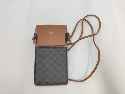 Triomphe Phone Case Shoulder Bag in Brown Coated Canvas