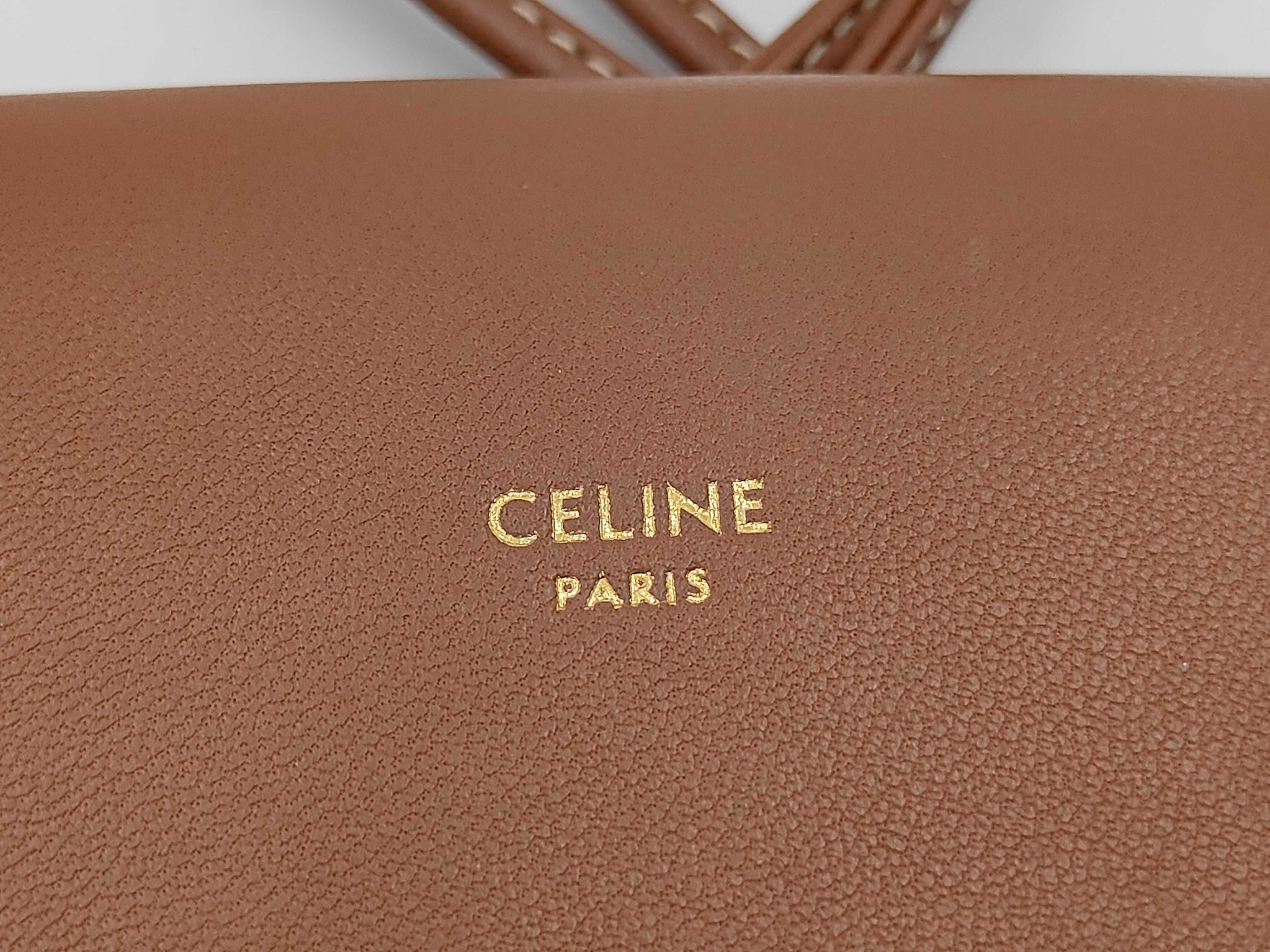 Triomphe Phone Case Shoulder Bag in Brown Coated Canvas — view 11