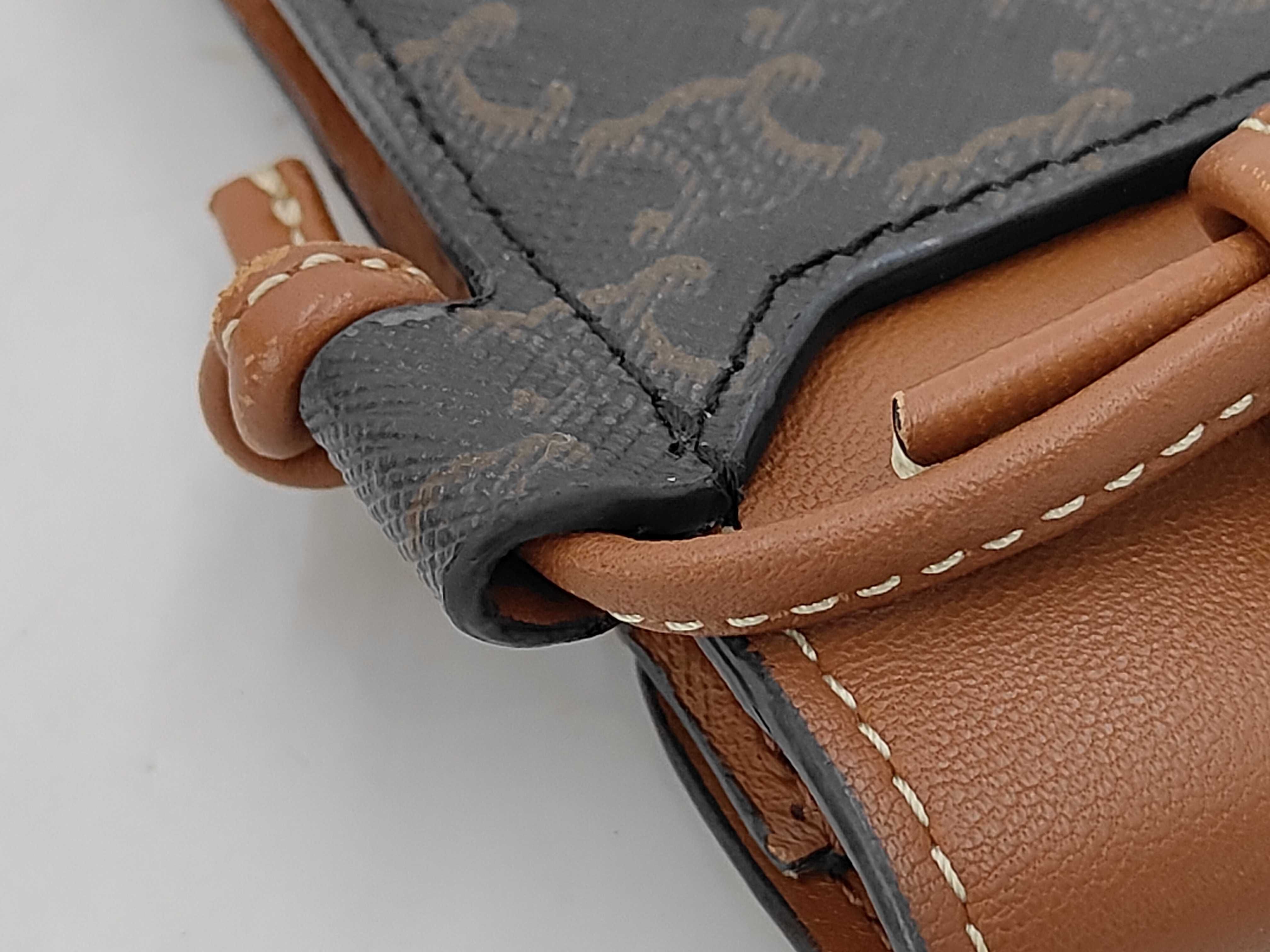 Triomphe Phone Case Shoulder Bag in Brown Coated Canvas — view 8