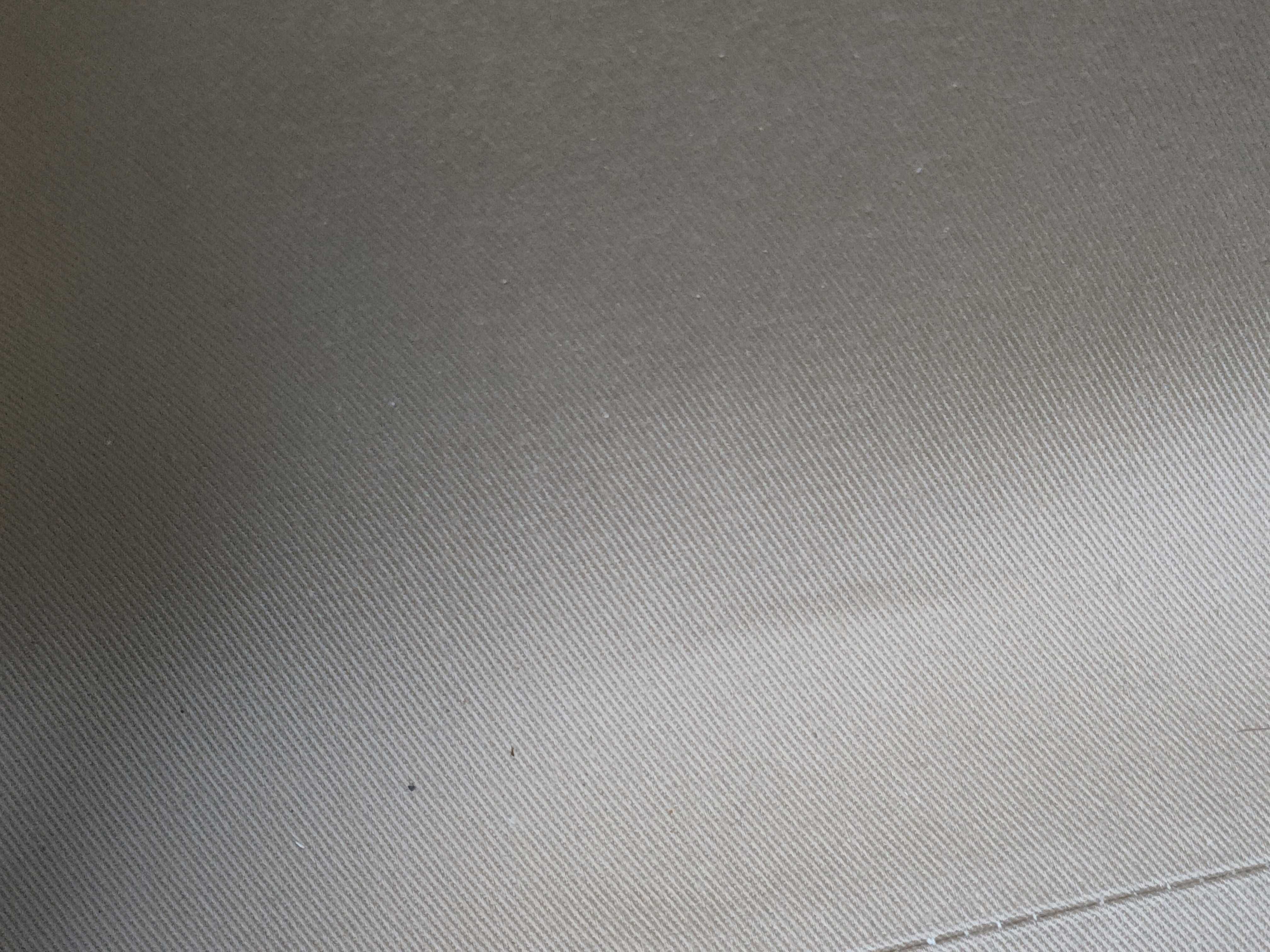 Woody Medium Canvas x Leather Tote Bag — view 12