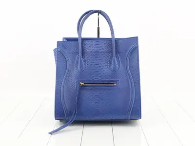 Luggage Python Blue