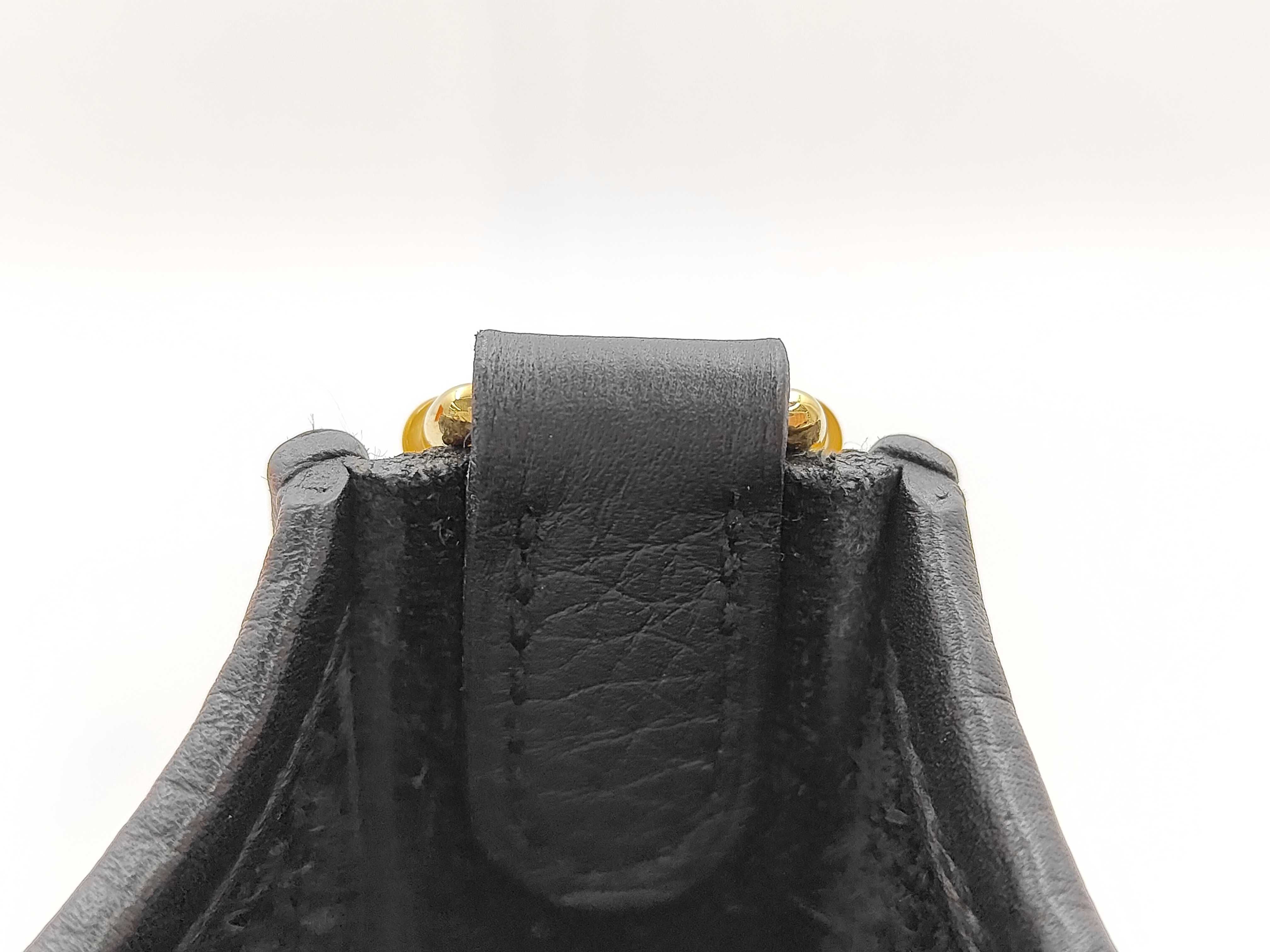 Evelyne 16 TPM Amazon Taurillon Leather Black Gold Hardware W Stamp Shoulder Bag — view 5
