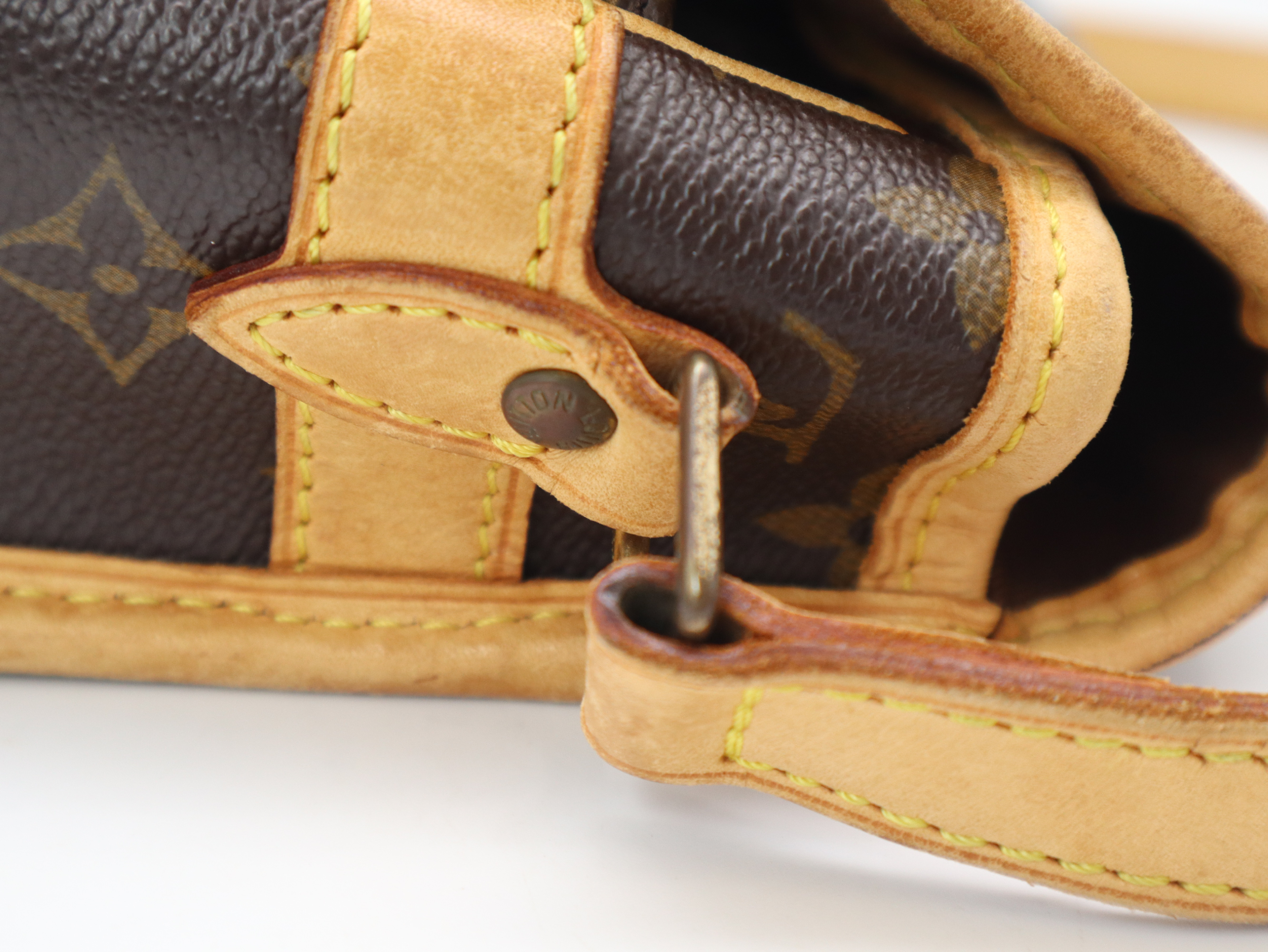 M42250 Monogram Sologne Shoulder Bag — view 7