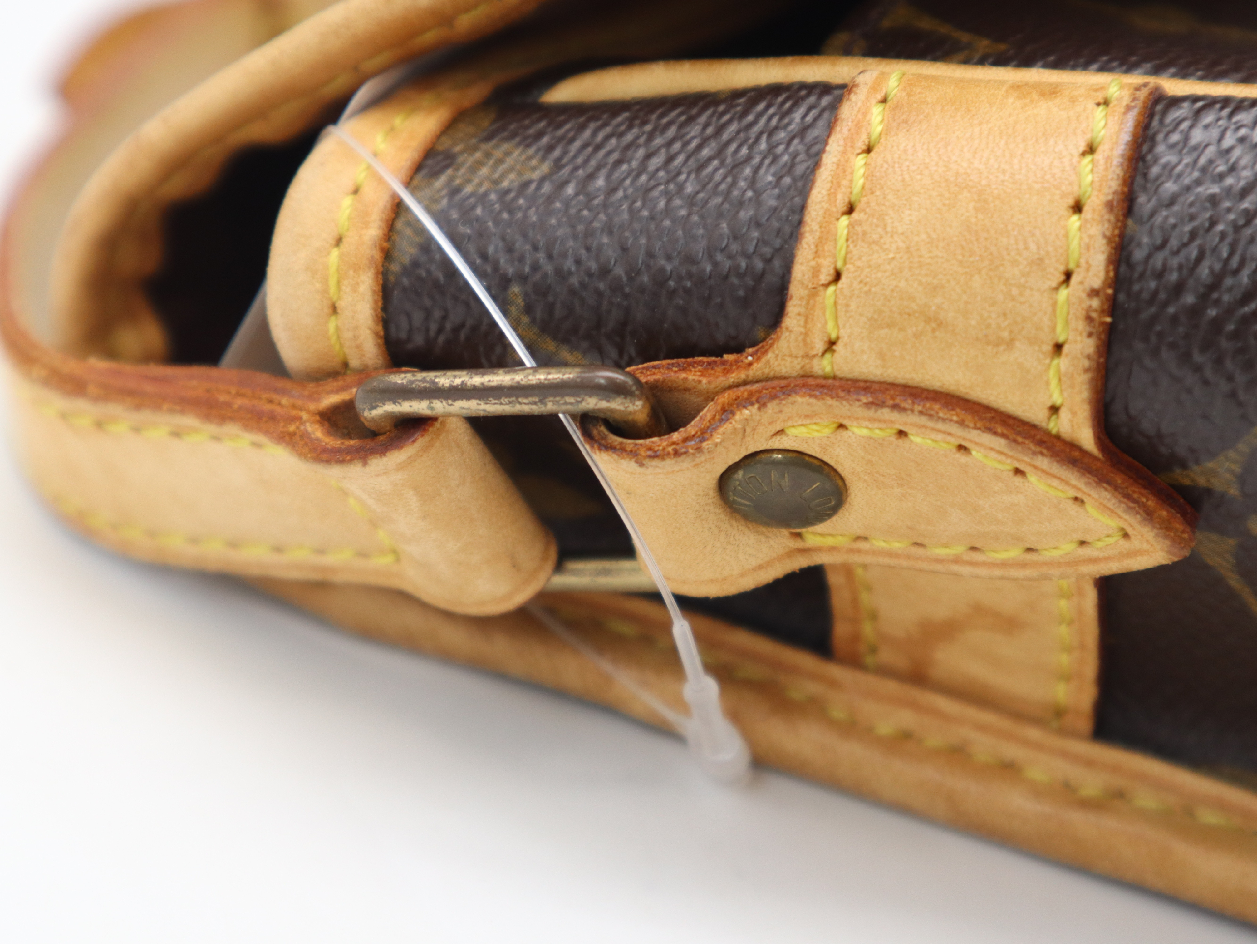 M42250 Monogram Sologne Shoulder Bag — view 8