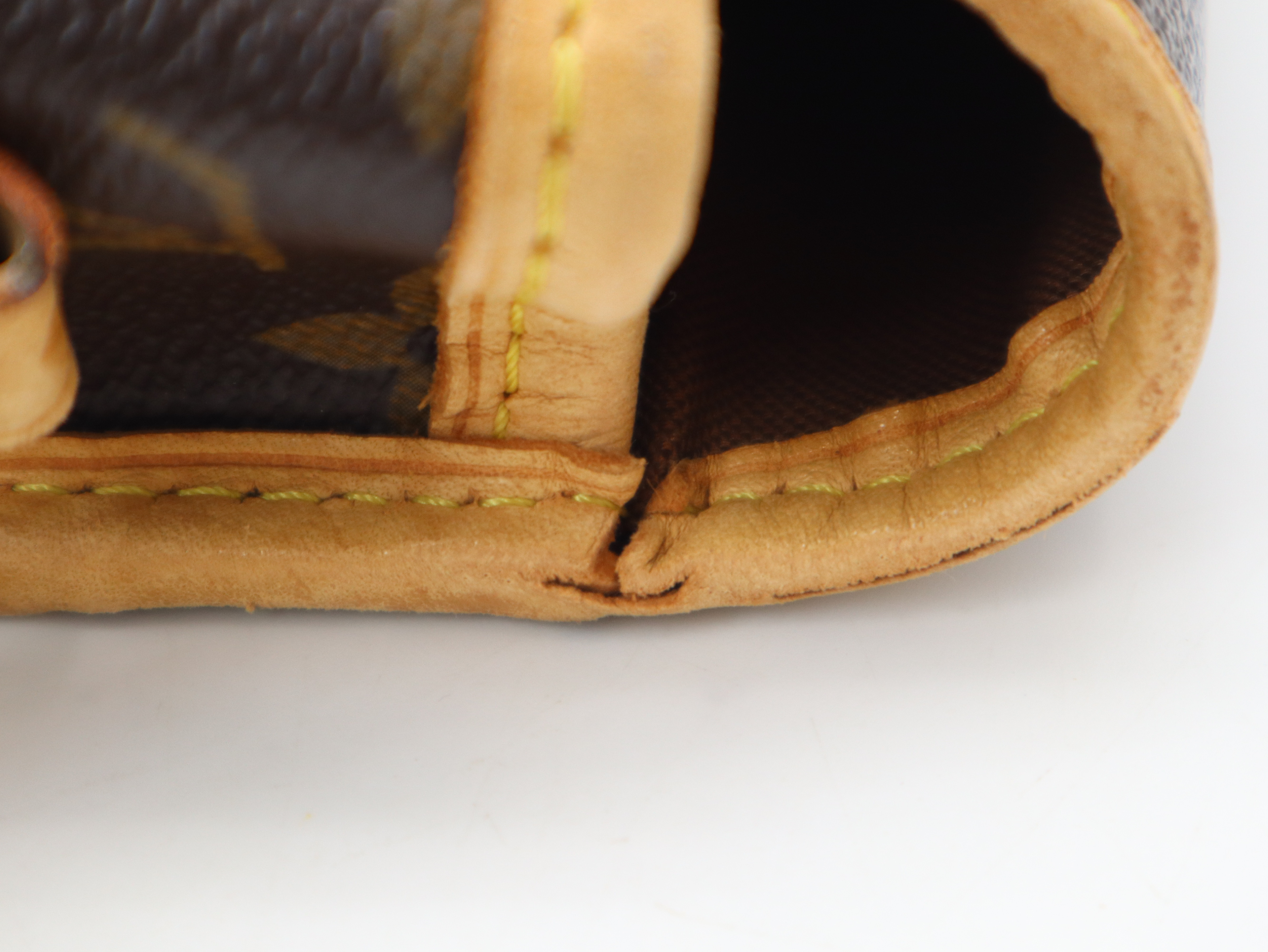 M42250 Monogram Sologne Shoulder Bag — view 9