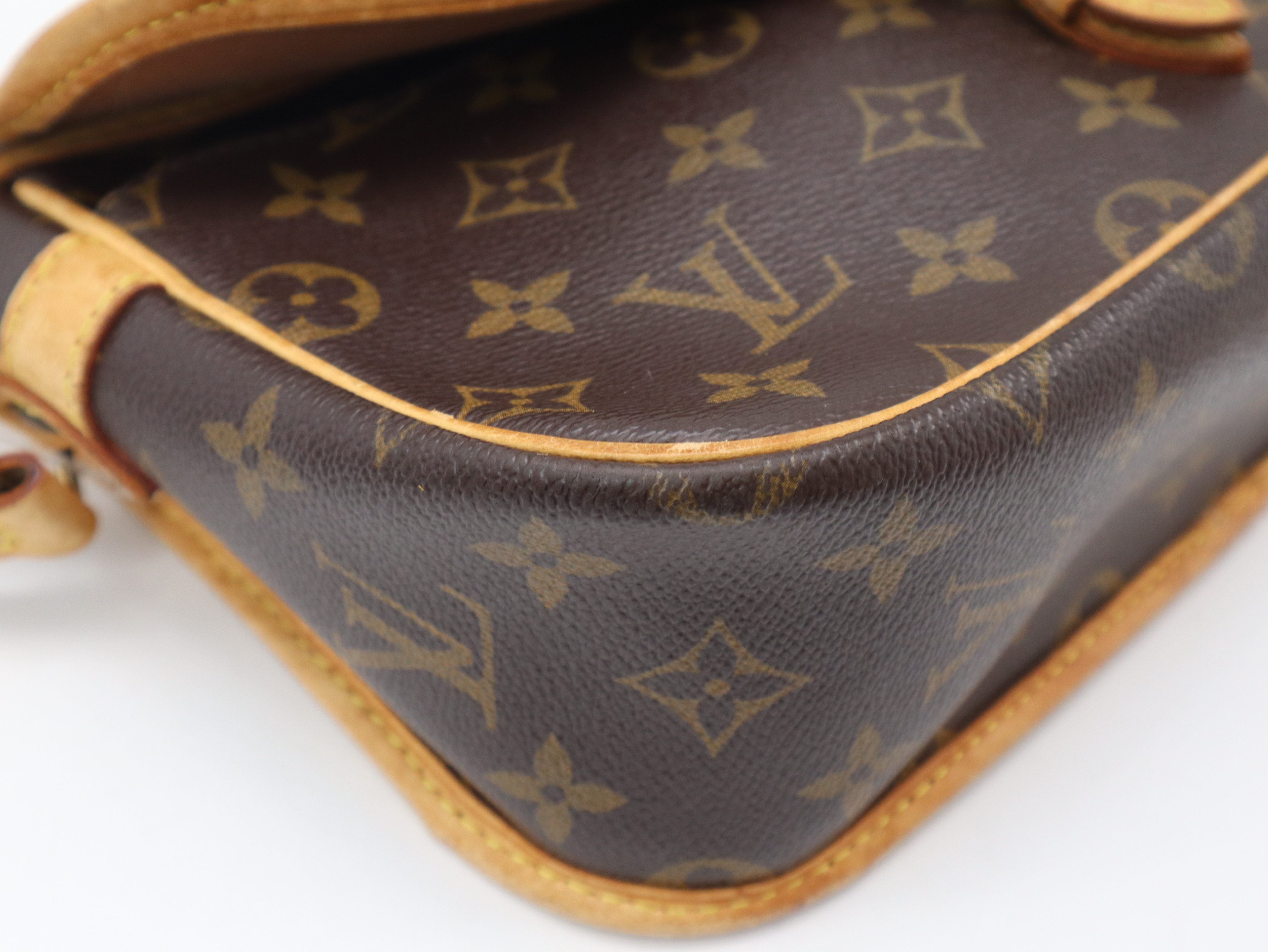 M42250 Monogram Sologne Shoulder Bag — view 10