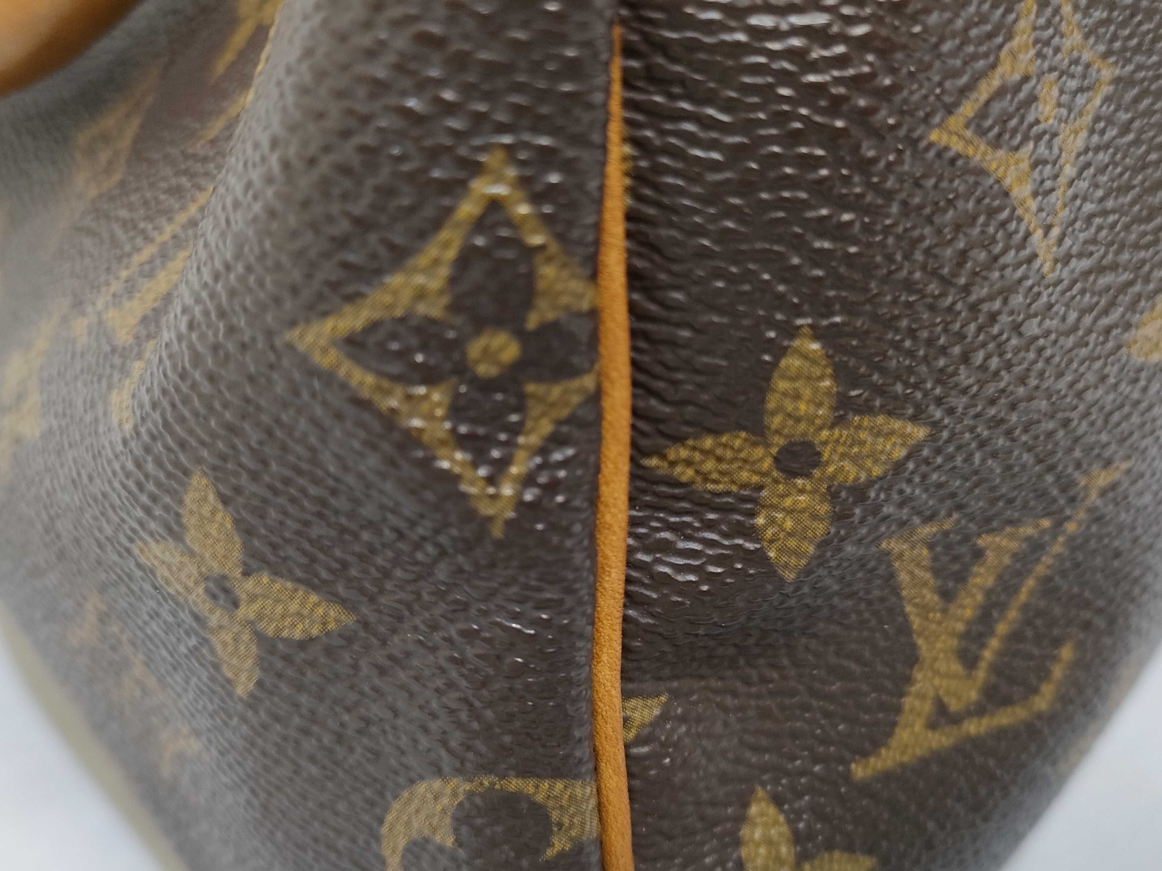 Monogram LV Speedy Handbag — view 13