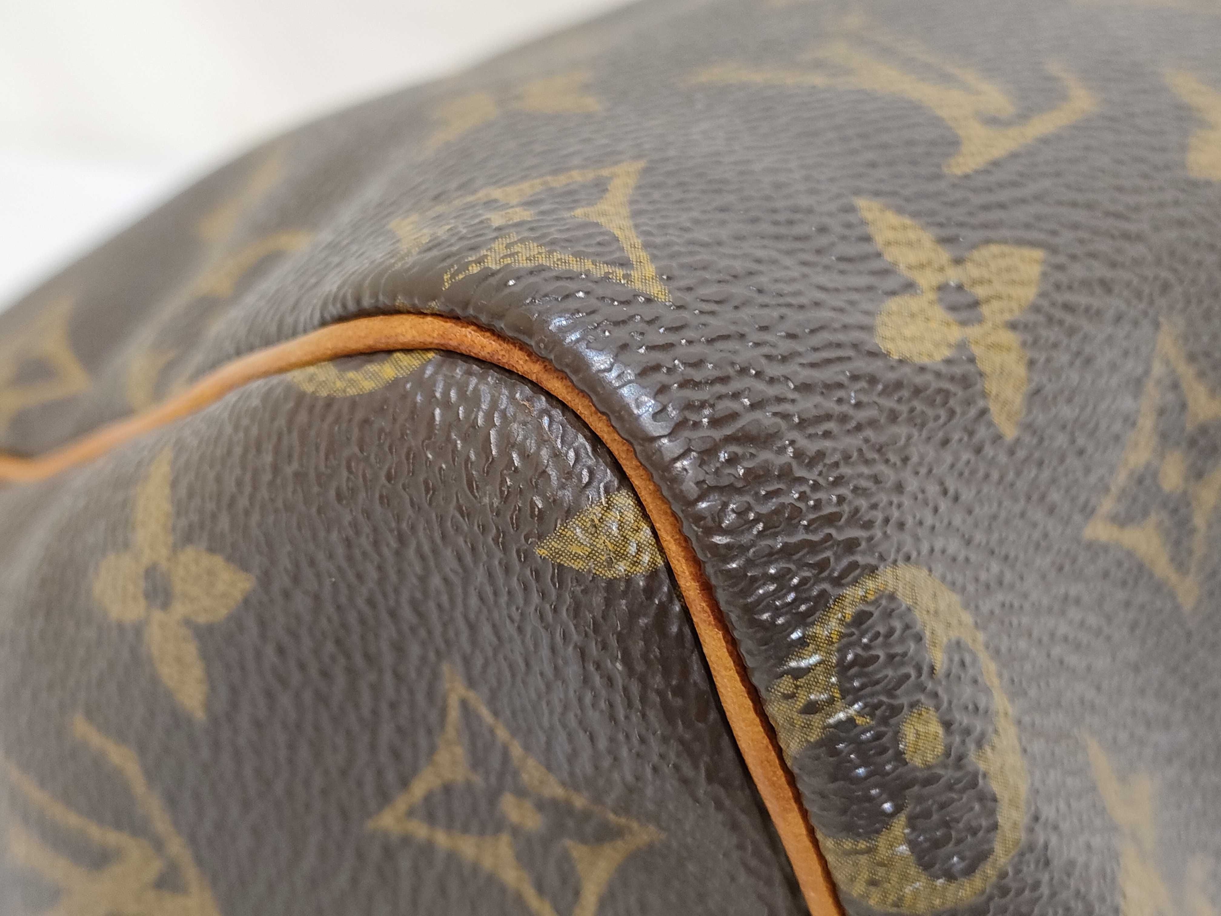 Monogram LV Speedy Handbag — view 6