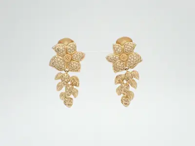 Other lines: Precious metals and earrings