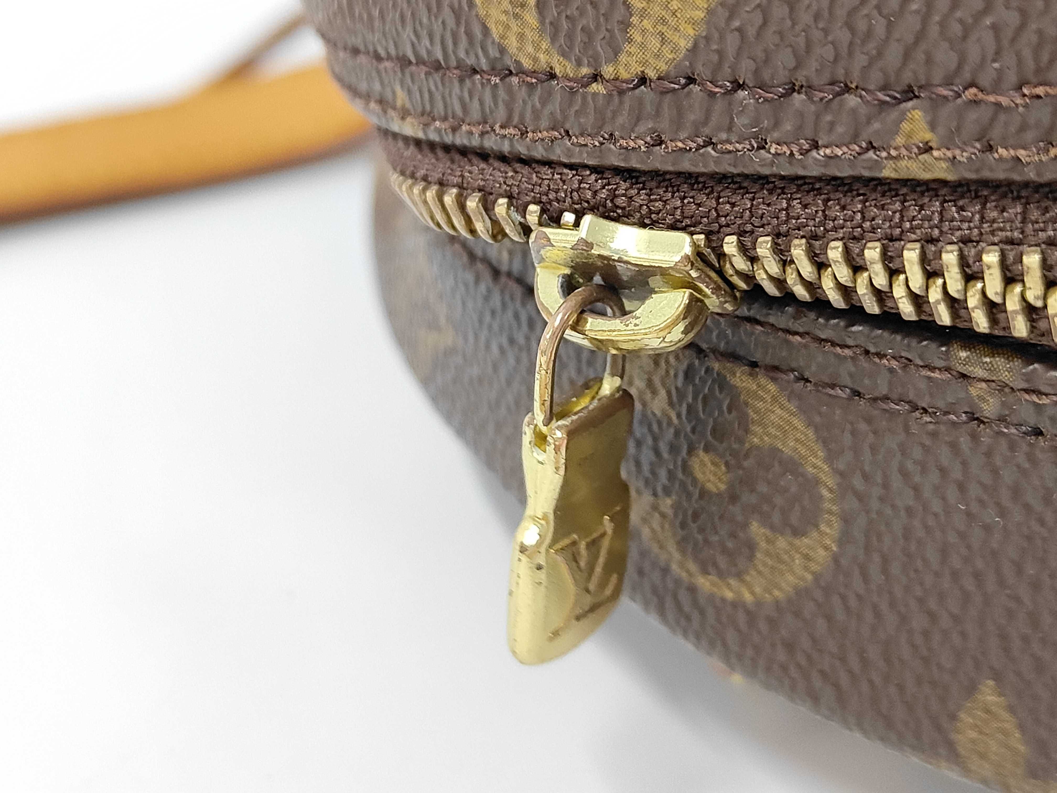 Monogram Blois Shoulder Bag — view 8