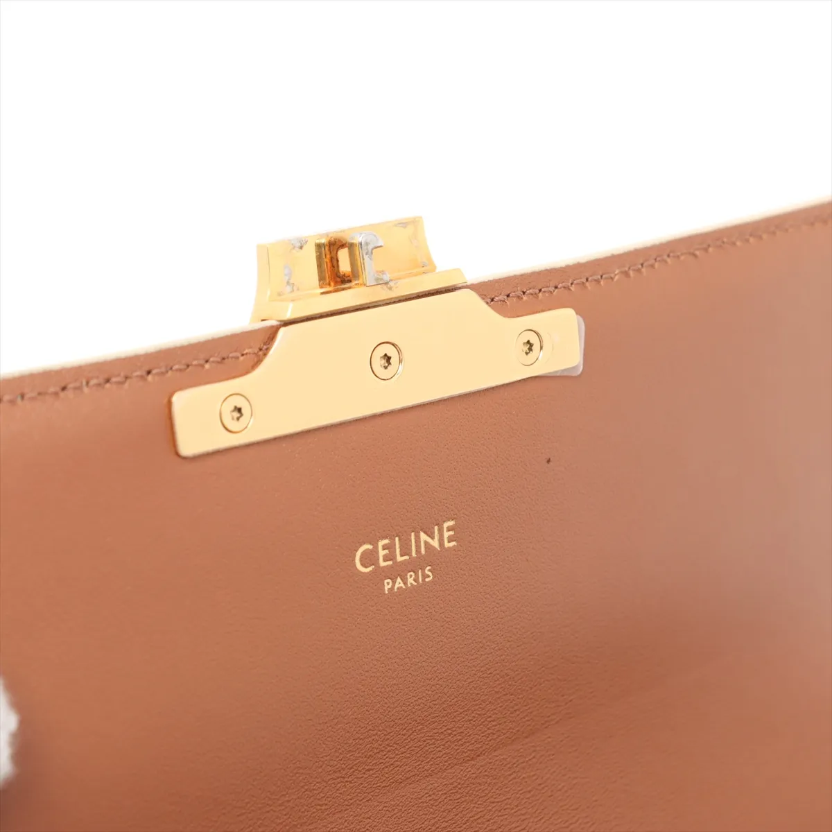 Triomphe Claude PVC x Leather Shoulder Bag White x Beige — view 10