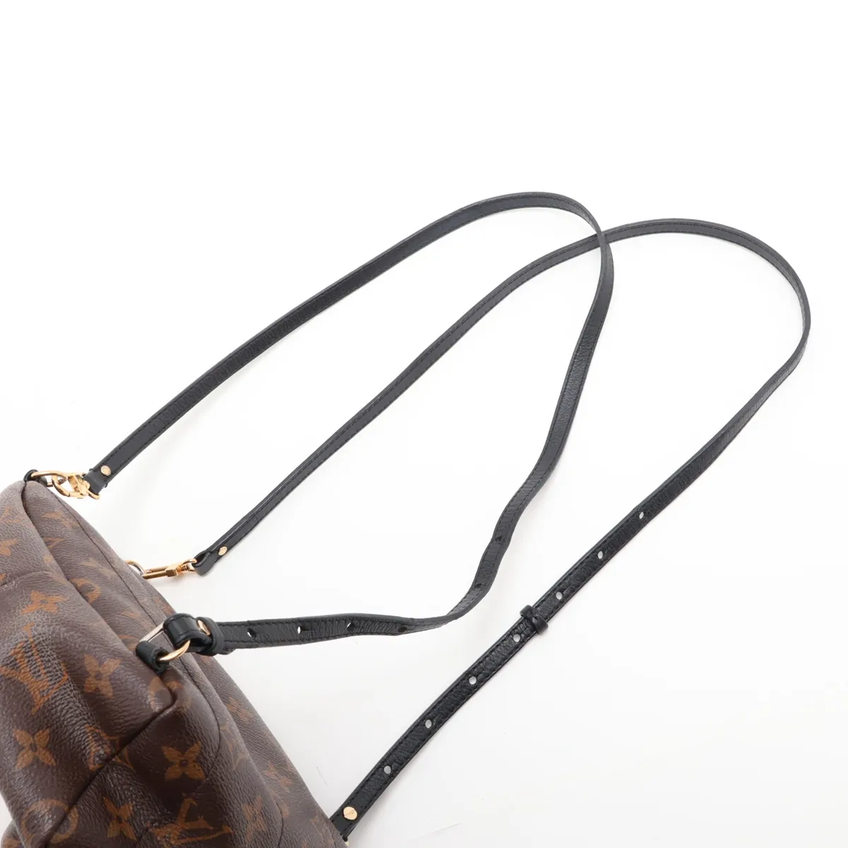 Monogram Palm Springs Backpack MINI M44873 CA4106 Brown x Black — view 6