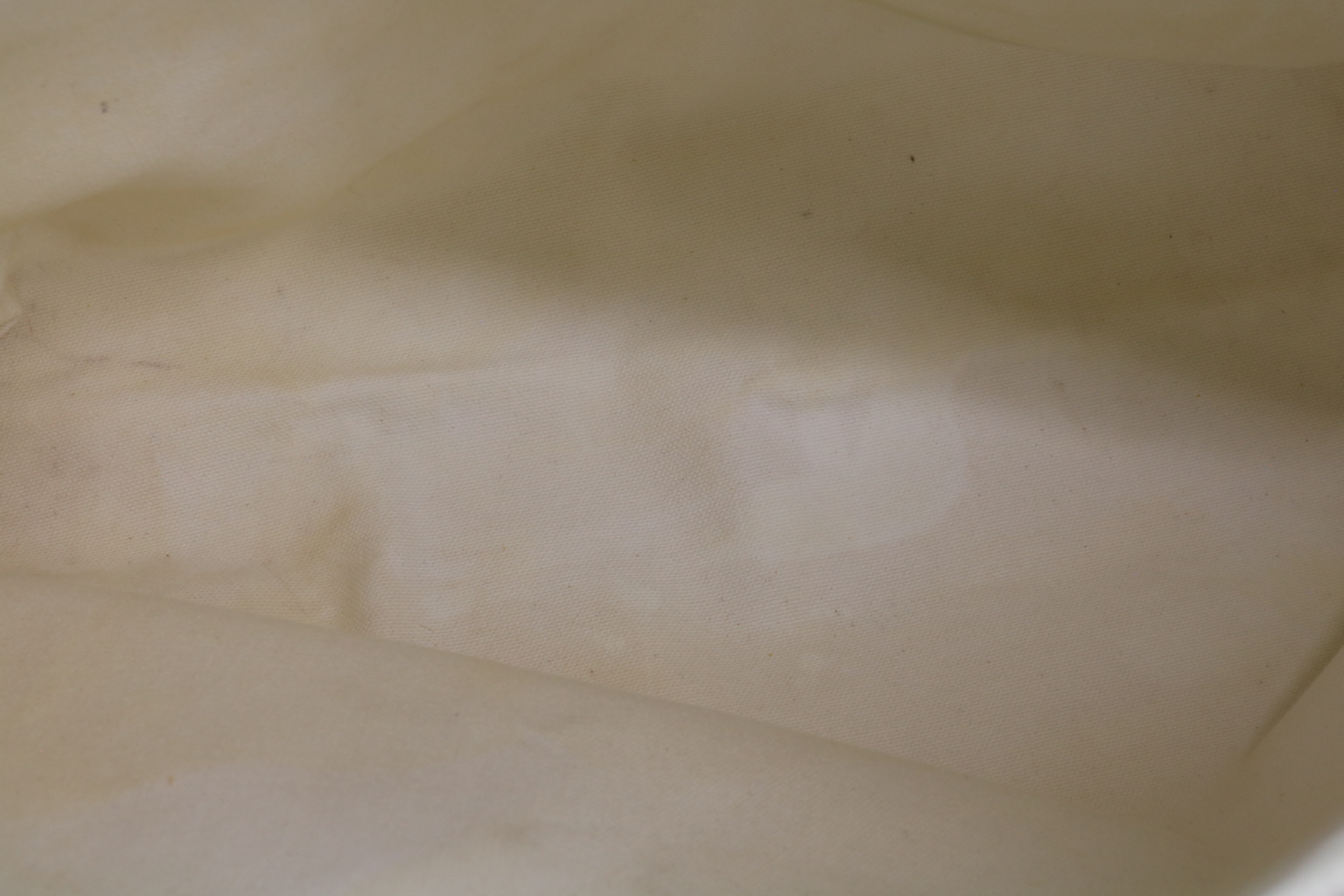 Canvas x Leather Horizontal Cabas Logo Tote Bag — view 9