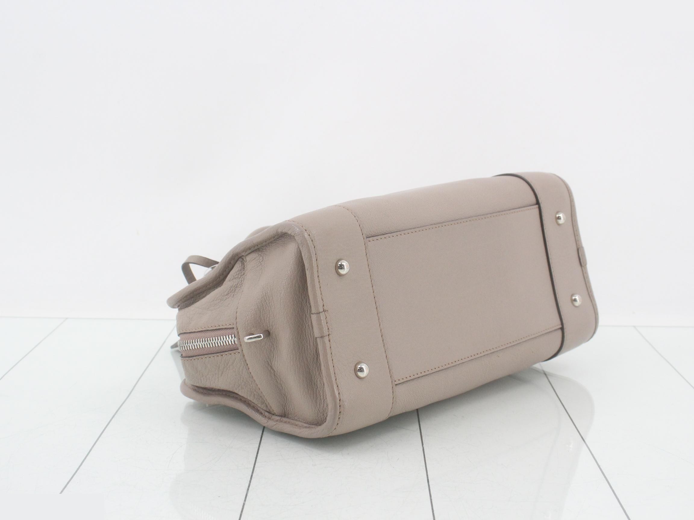 Amazona 28 Beige Silver Hardware — view 5