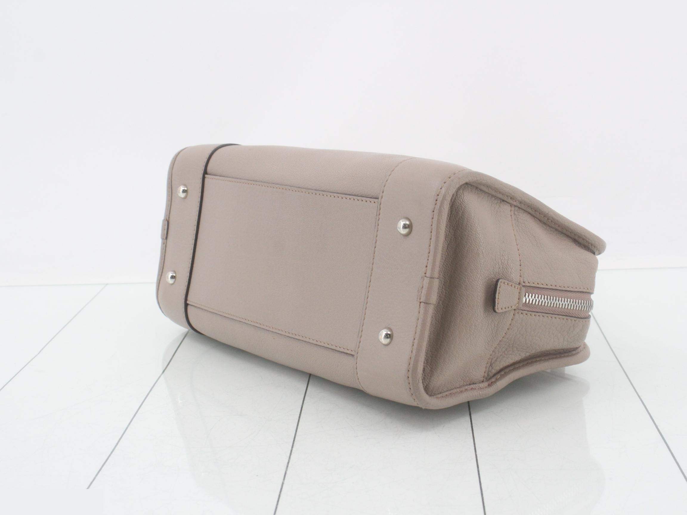 Amazona 28 Beige Silver Hardware — view 6