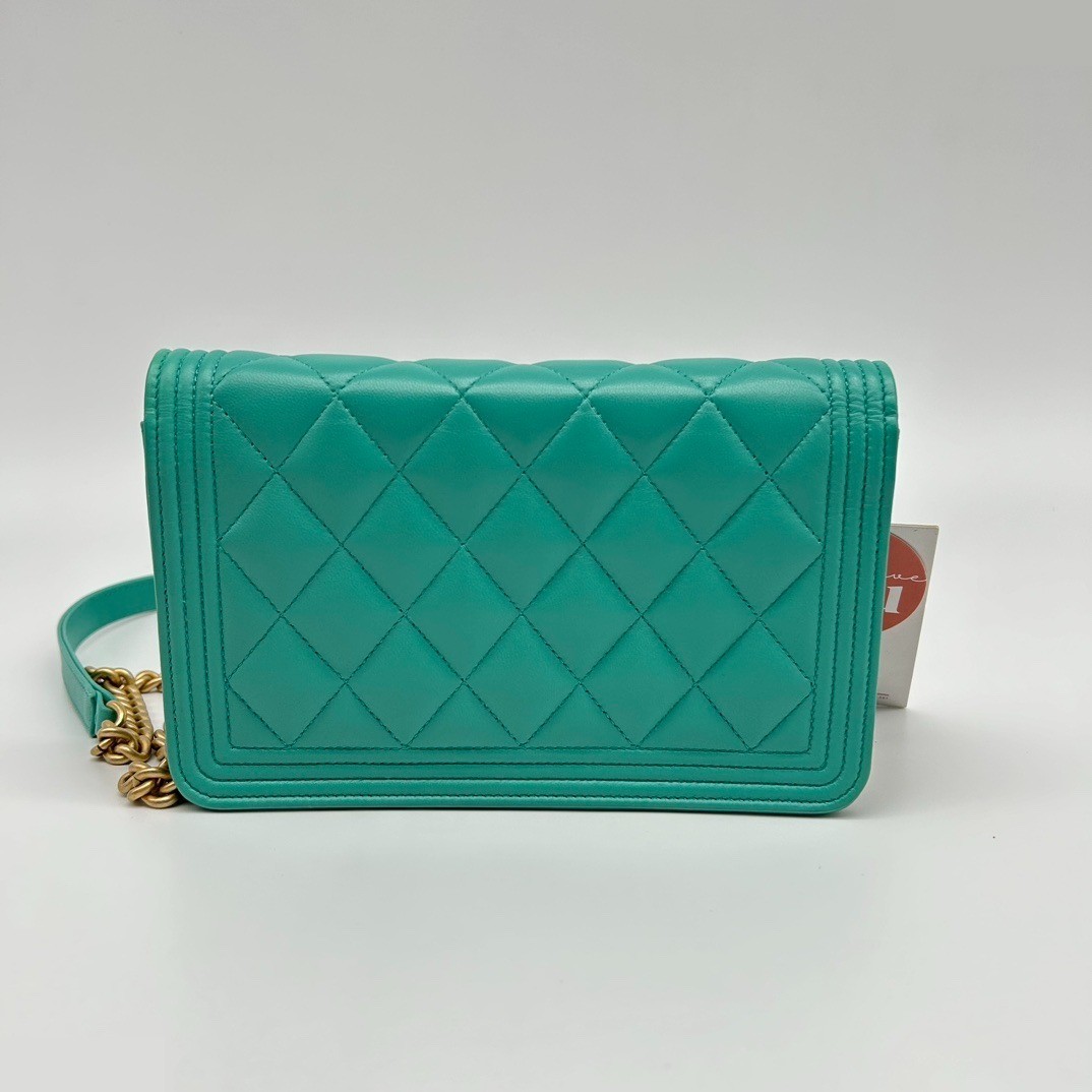 LeBoy Wallet on Chain WOC — view 4