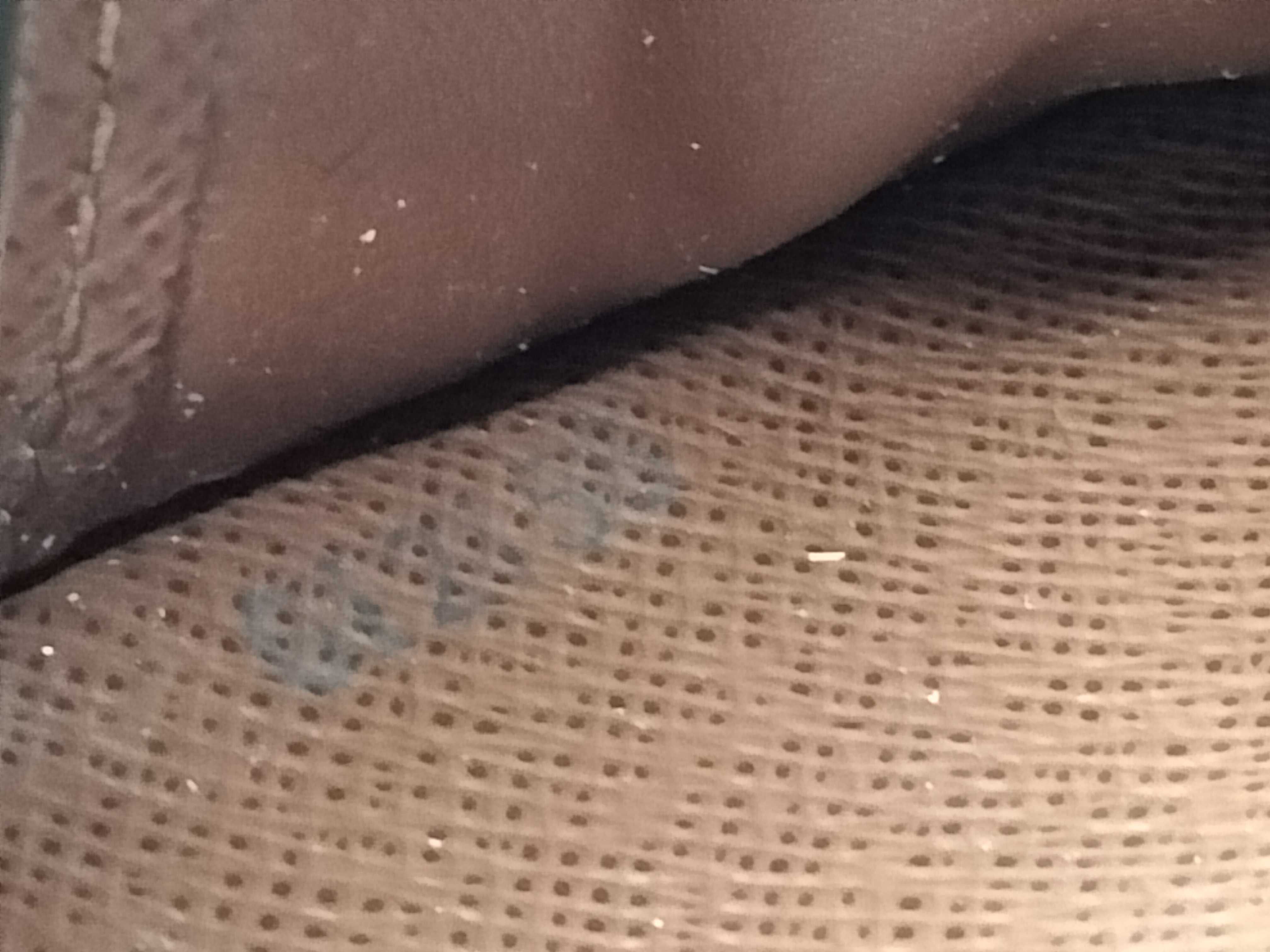 Monogram Zippy Wallet — view 13