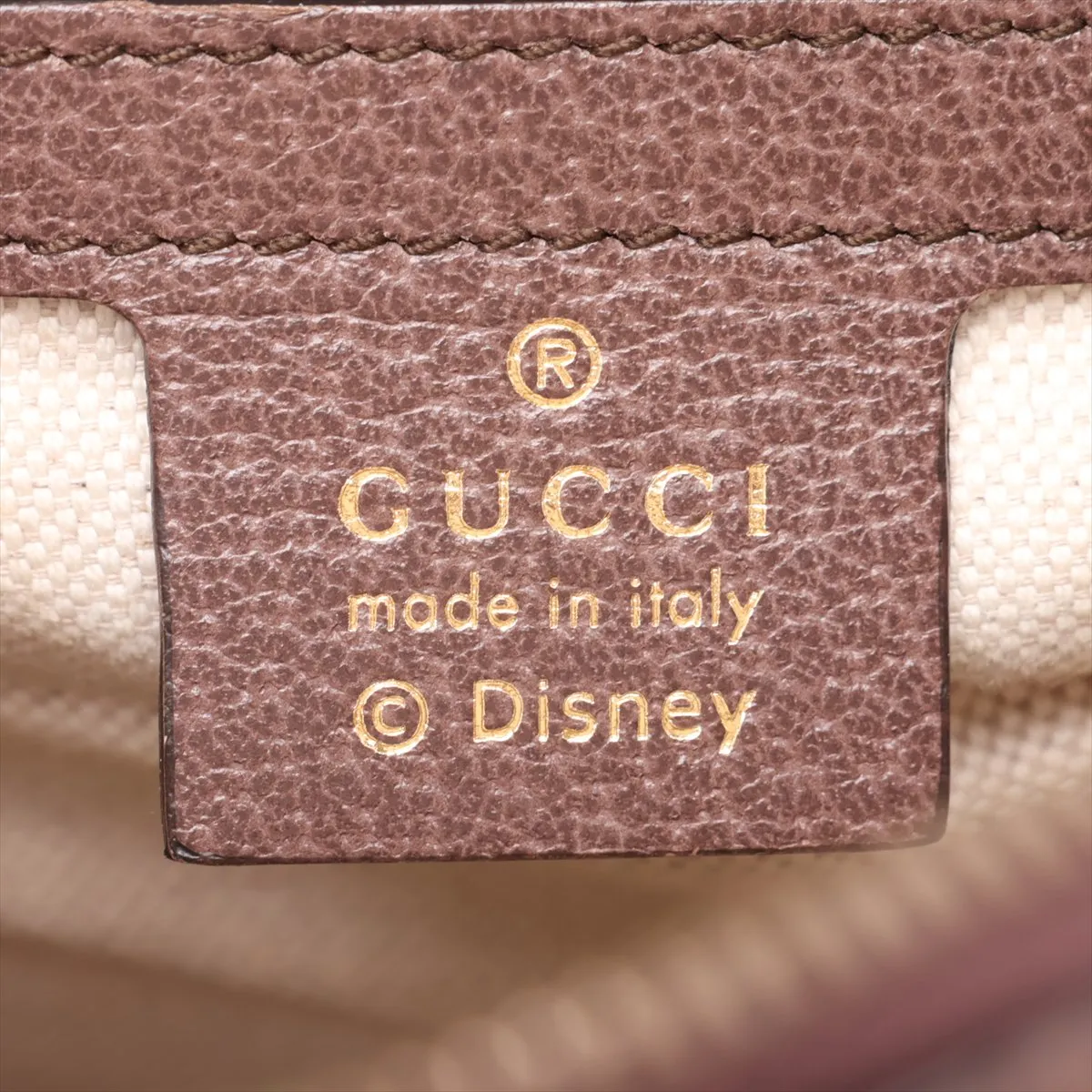 x Disney GG Supreme 552884 PVC x Leather Backpack/Rucksack Brown — view 9