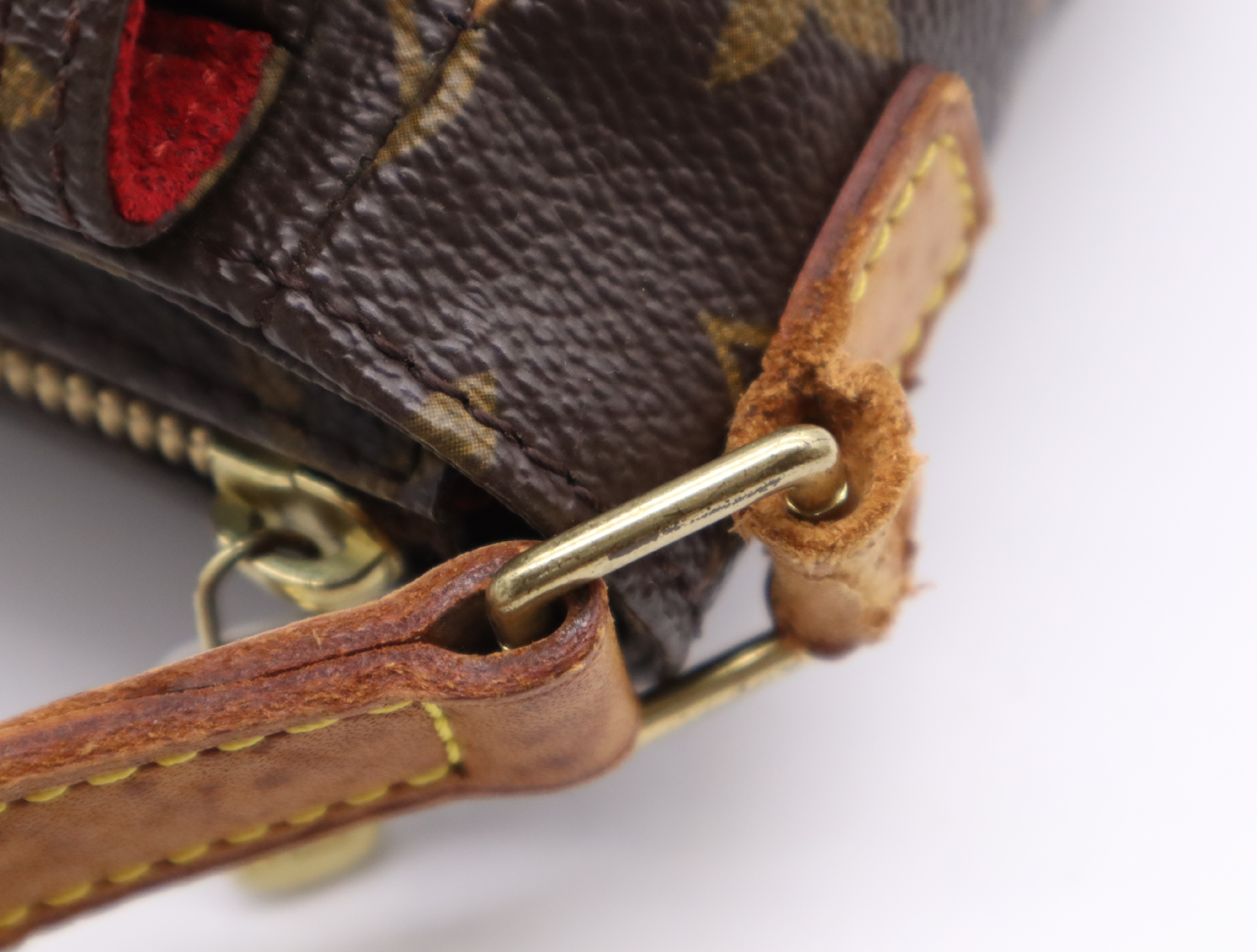 M51165 Monogram Viva Cite PM Shoulder Bag — view 9