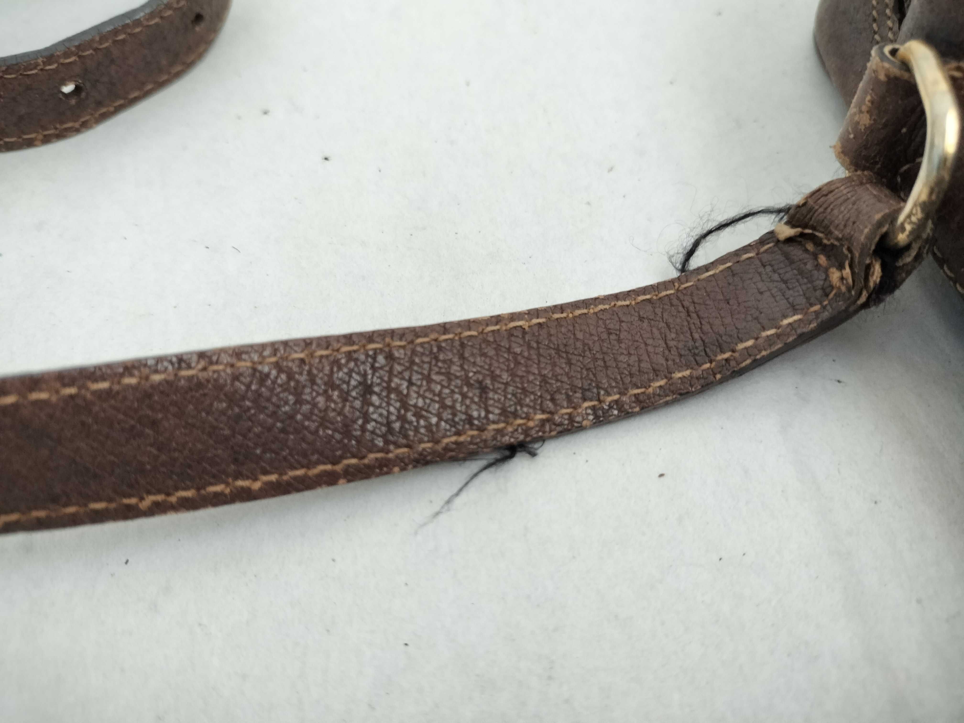 Webbing Gucci GG Supreme Sherry Shoulder Bag — view 15