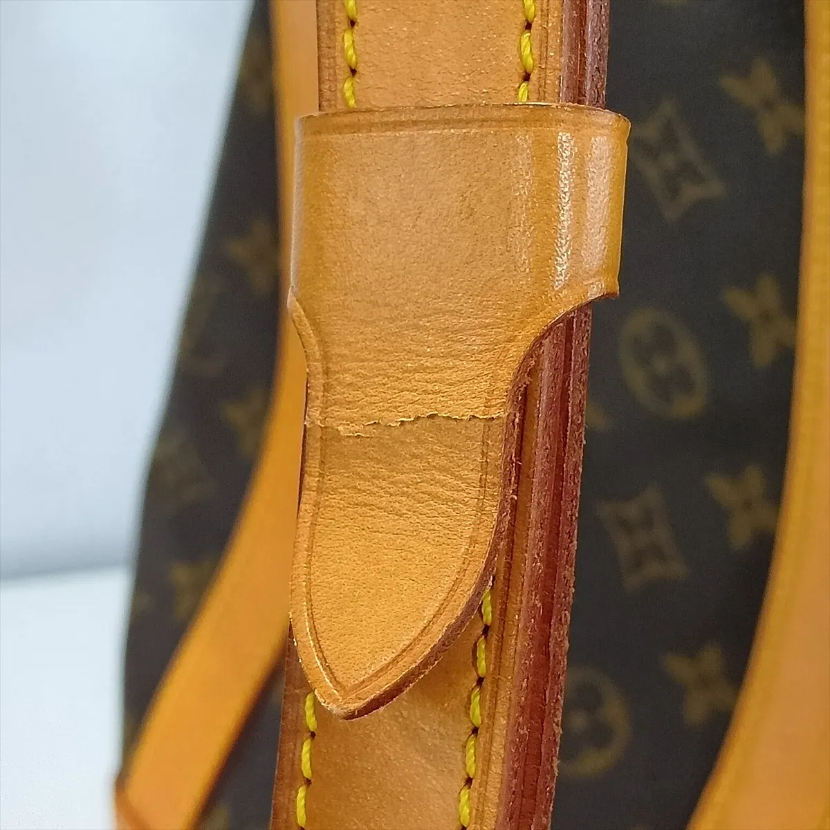 Monogram Randonee PM M42243 AR1918 Brown — view 9