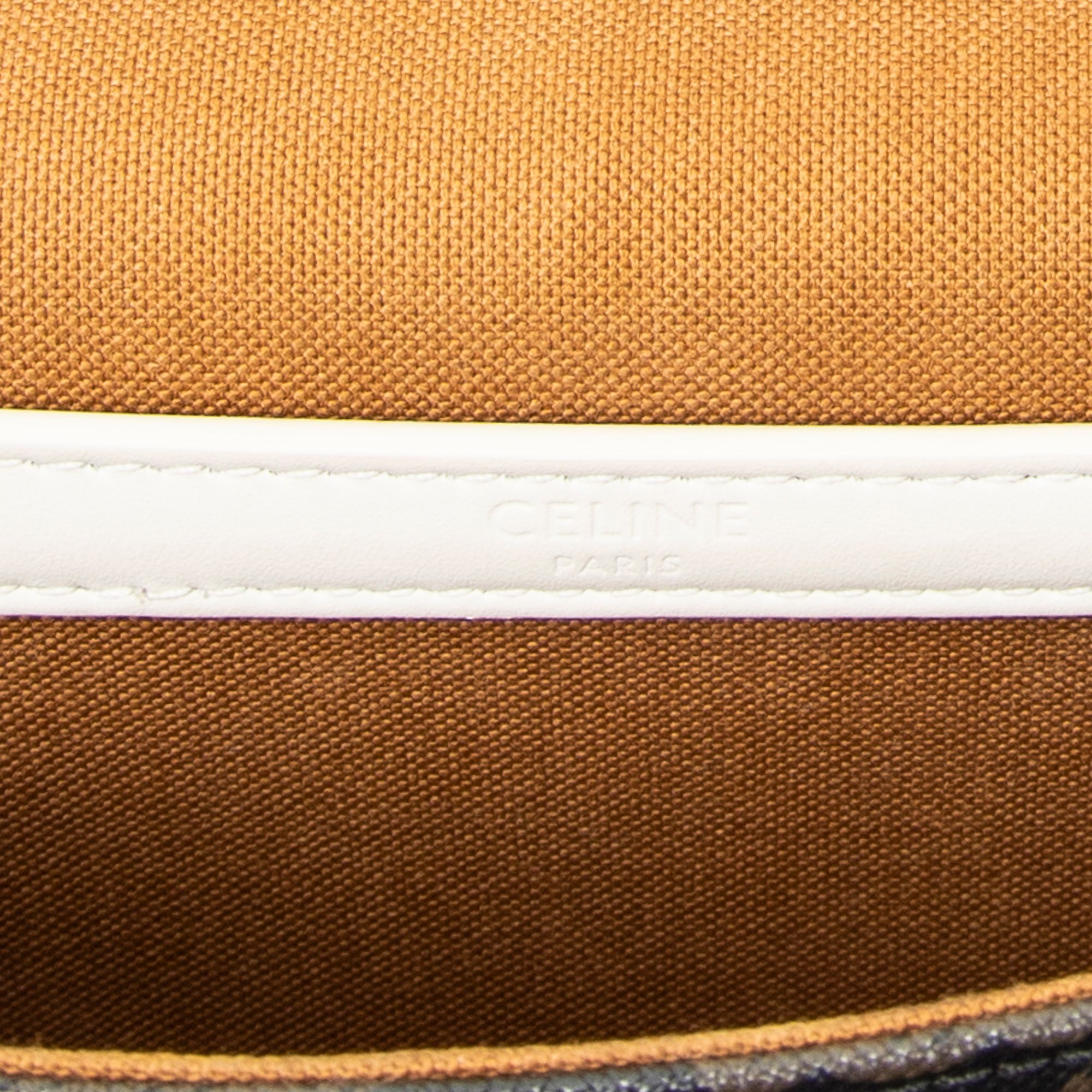 Medium Folco White/Brown/Black Triomphe Coated Canvas Gold — view 10