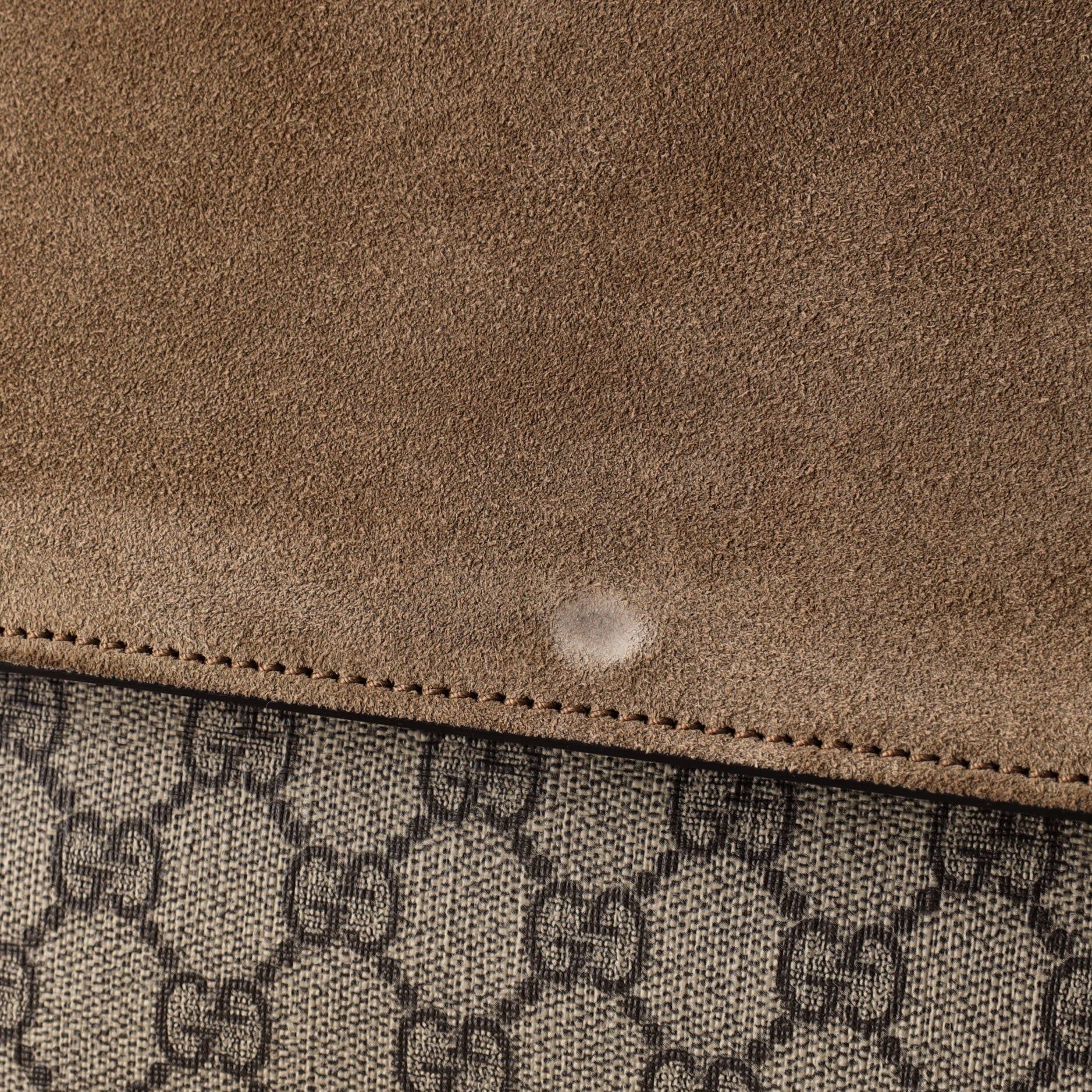 Dionysus Bag Gg Coated Canvas Medium — view 6