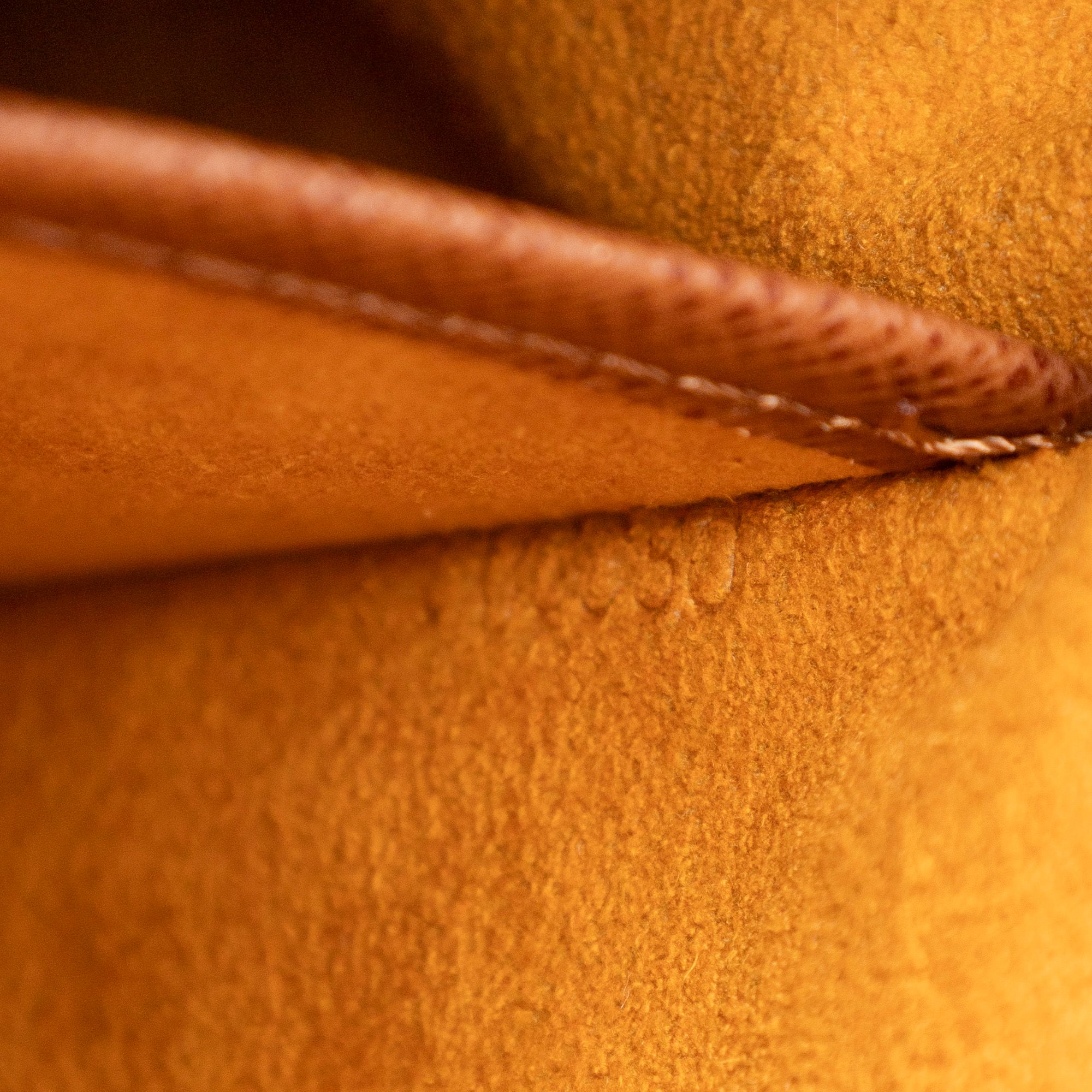 Musette Salsa Brown Monogram Canvas Golden Brass — view 10