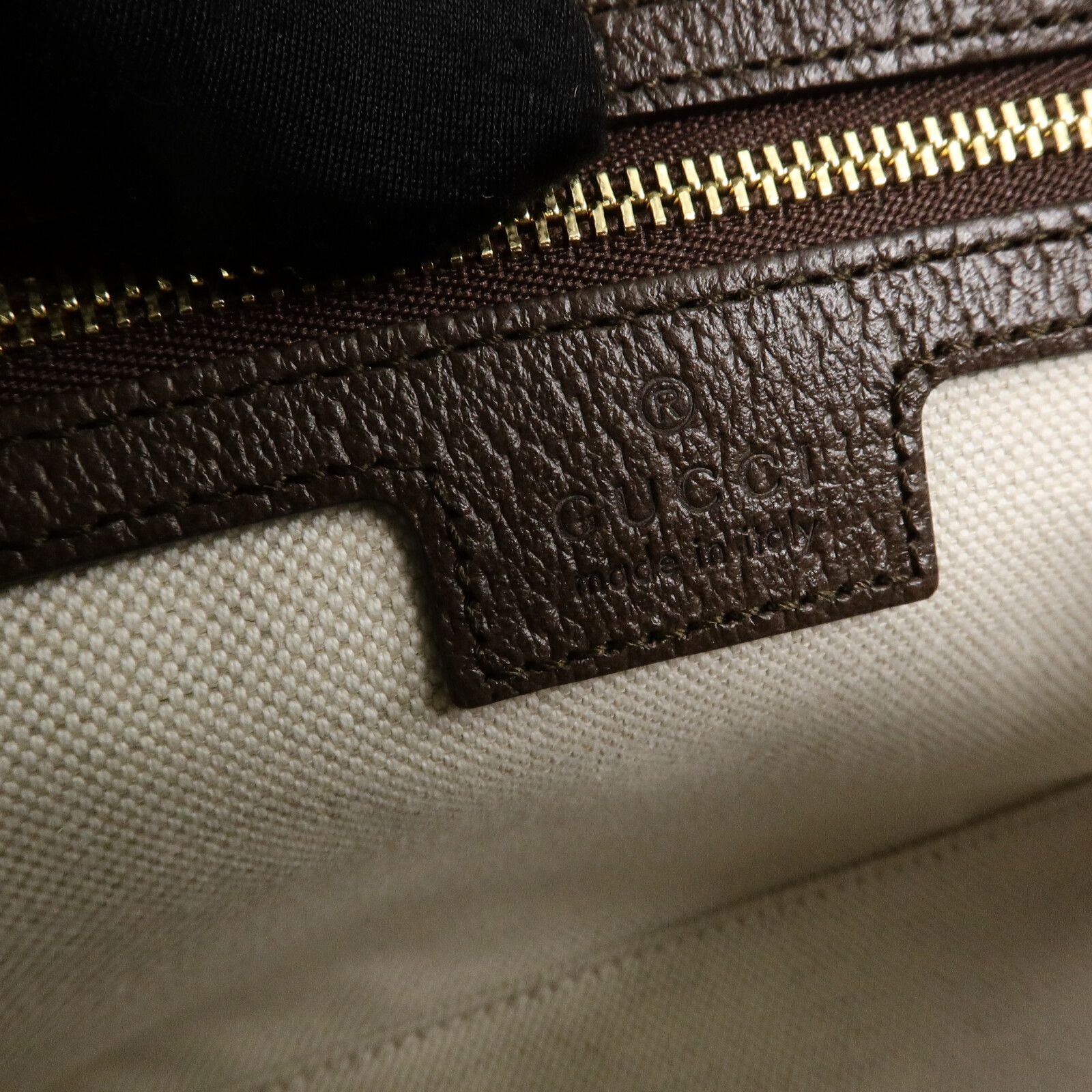GG Supreme Monogram Textured Dollar Calfskin Web Studded Mini Ophidia Flap Shoulder Bag — view 6