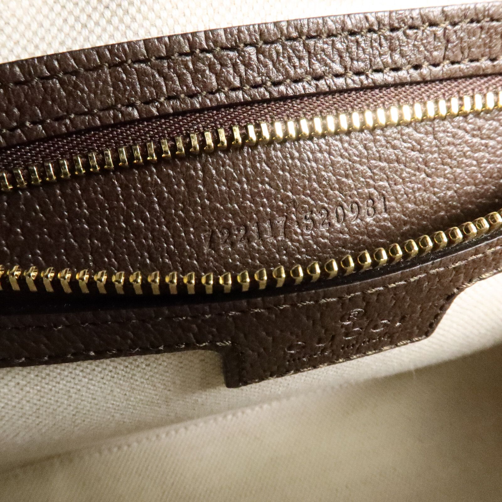 GG Supreme Monogram Textured Dollar Calfskin Web Studded Mini Ophidia Flap Shoulder Bag — view 8