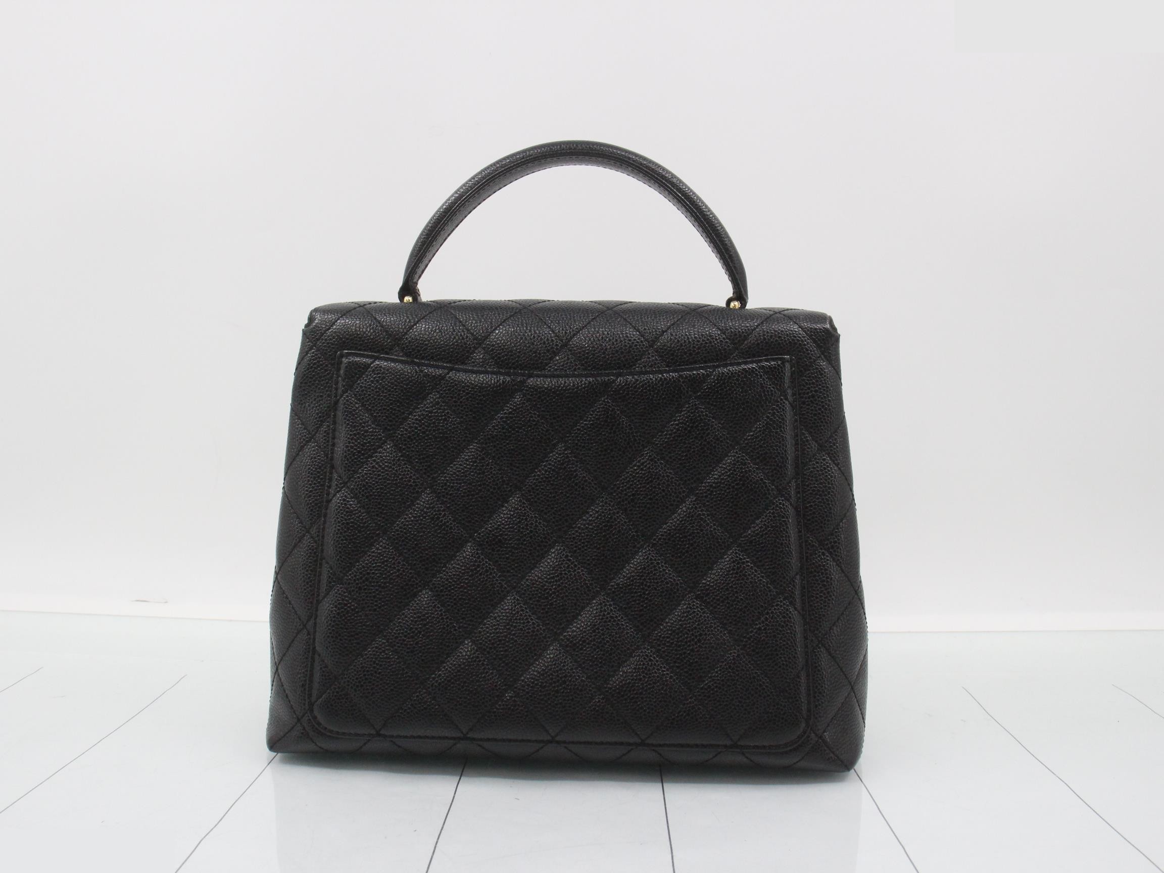 caviar skin (bag)/handbag — view 2