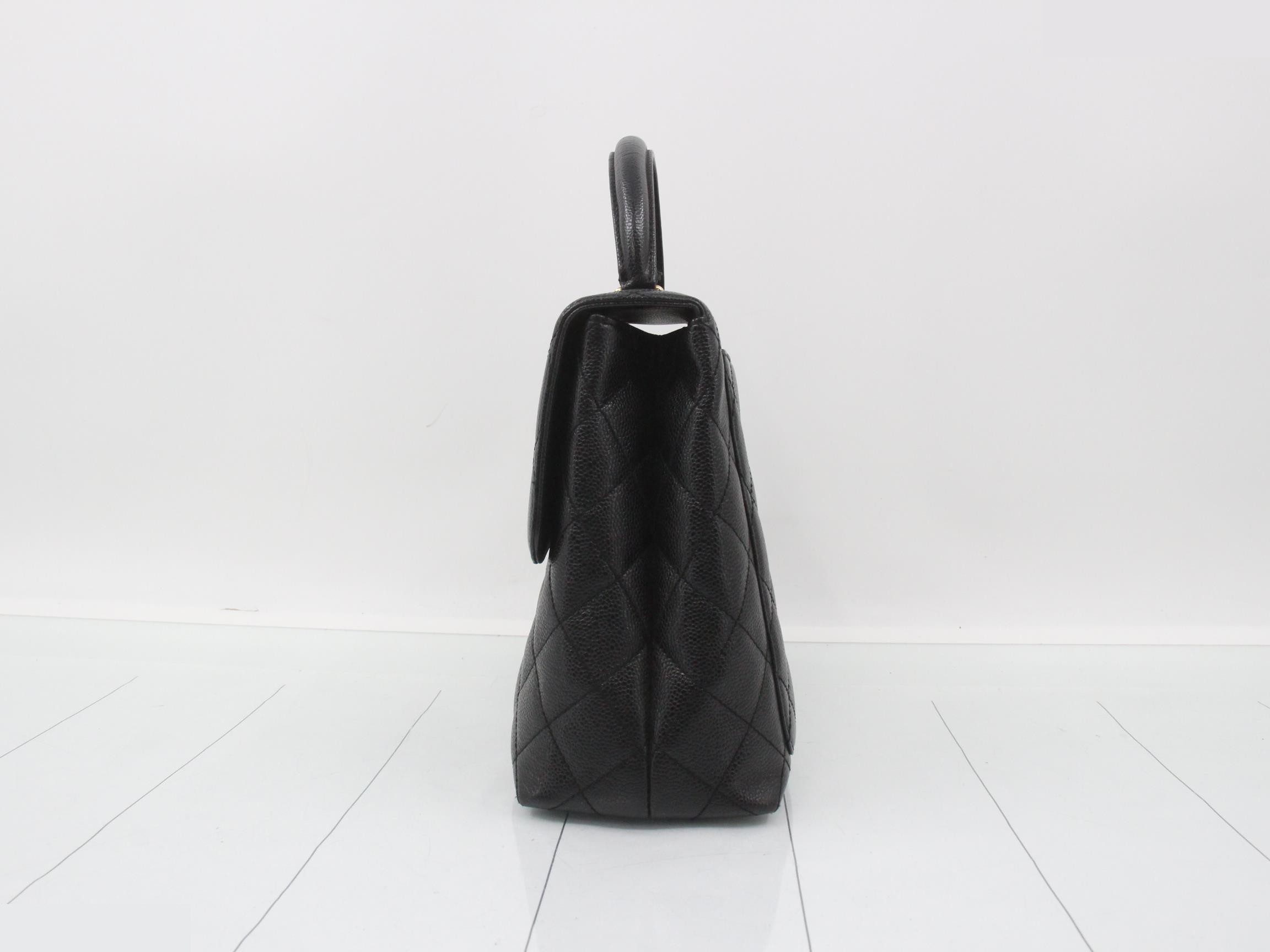 caviar skin (bag)/handbag — view 3