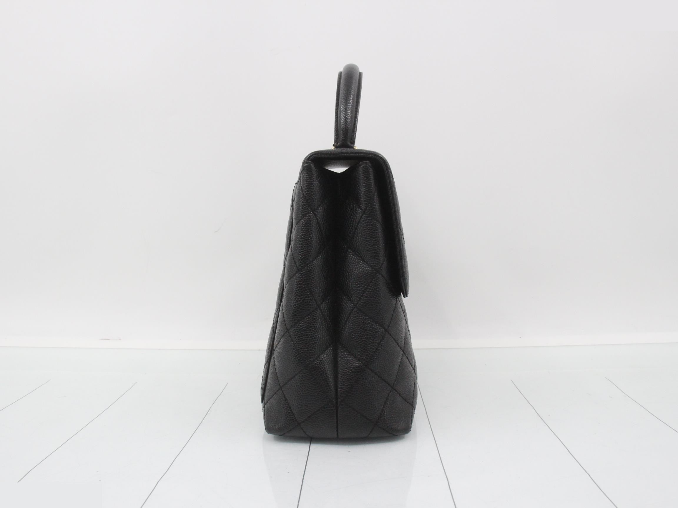 caviar skin (bag)/handbag — view 4