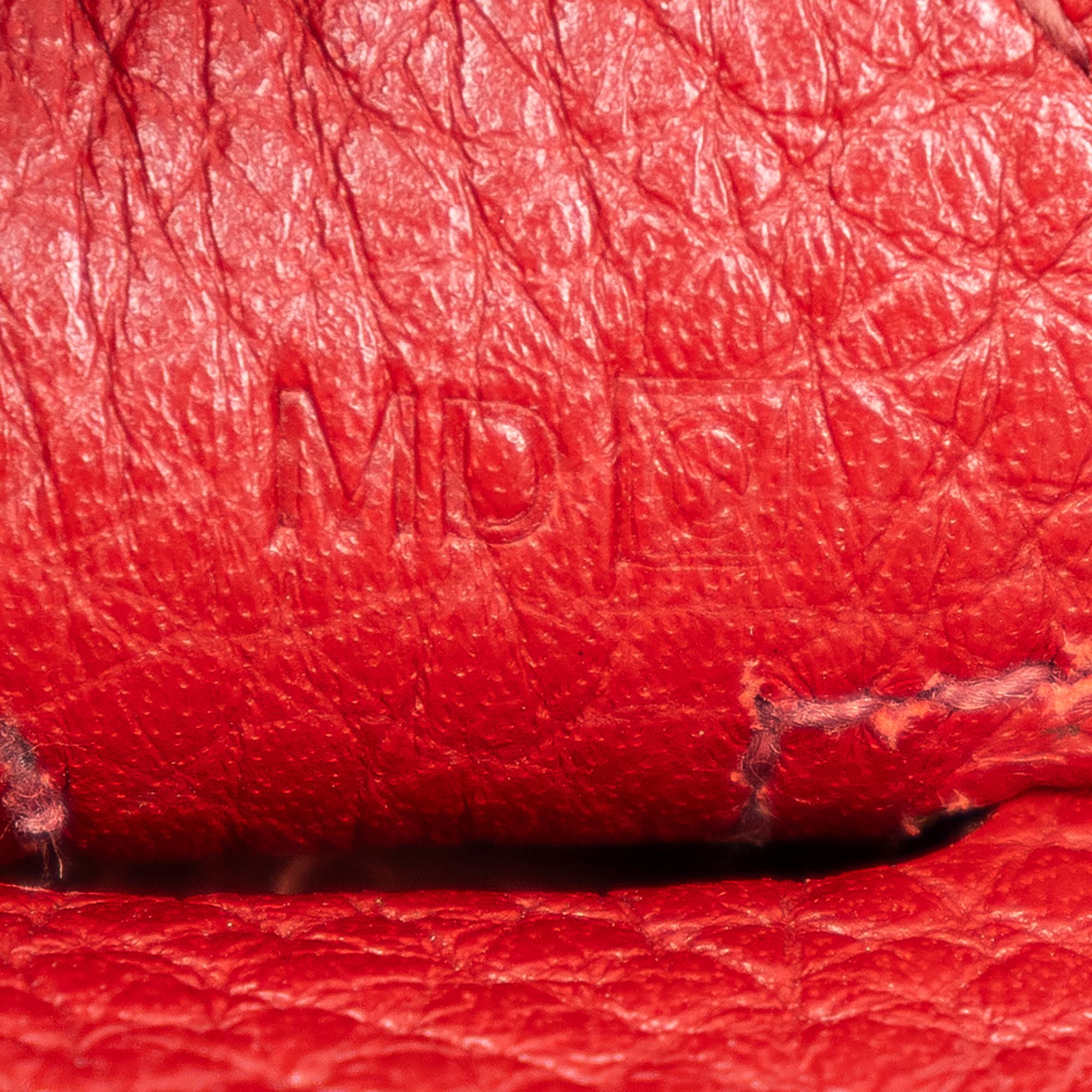 Evelyne III PM Red Epsom Leather Palladium — view 11