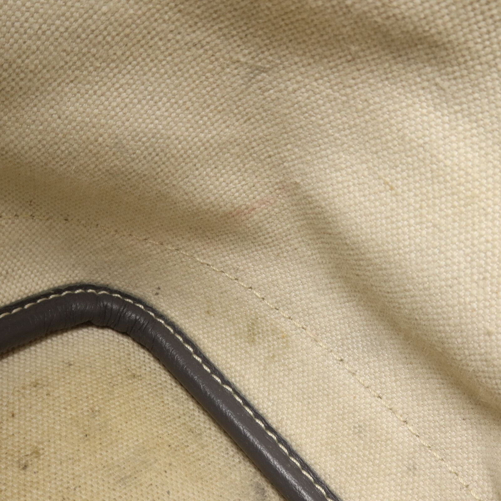 Goyardine Petit Flot Bucket Bag — view 14