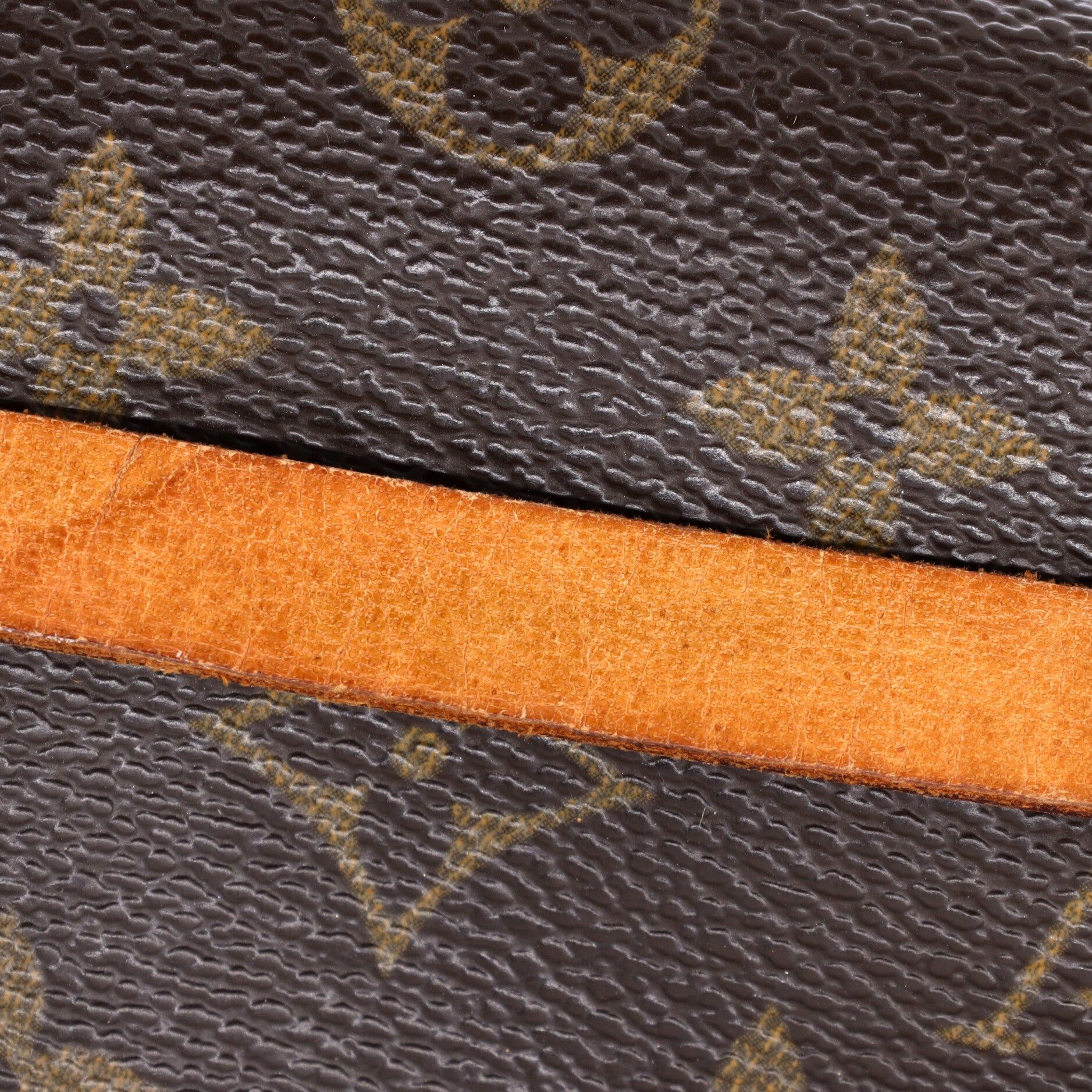Florentine Waist Bag Monogram Canvas — view 8