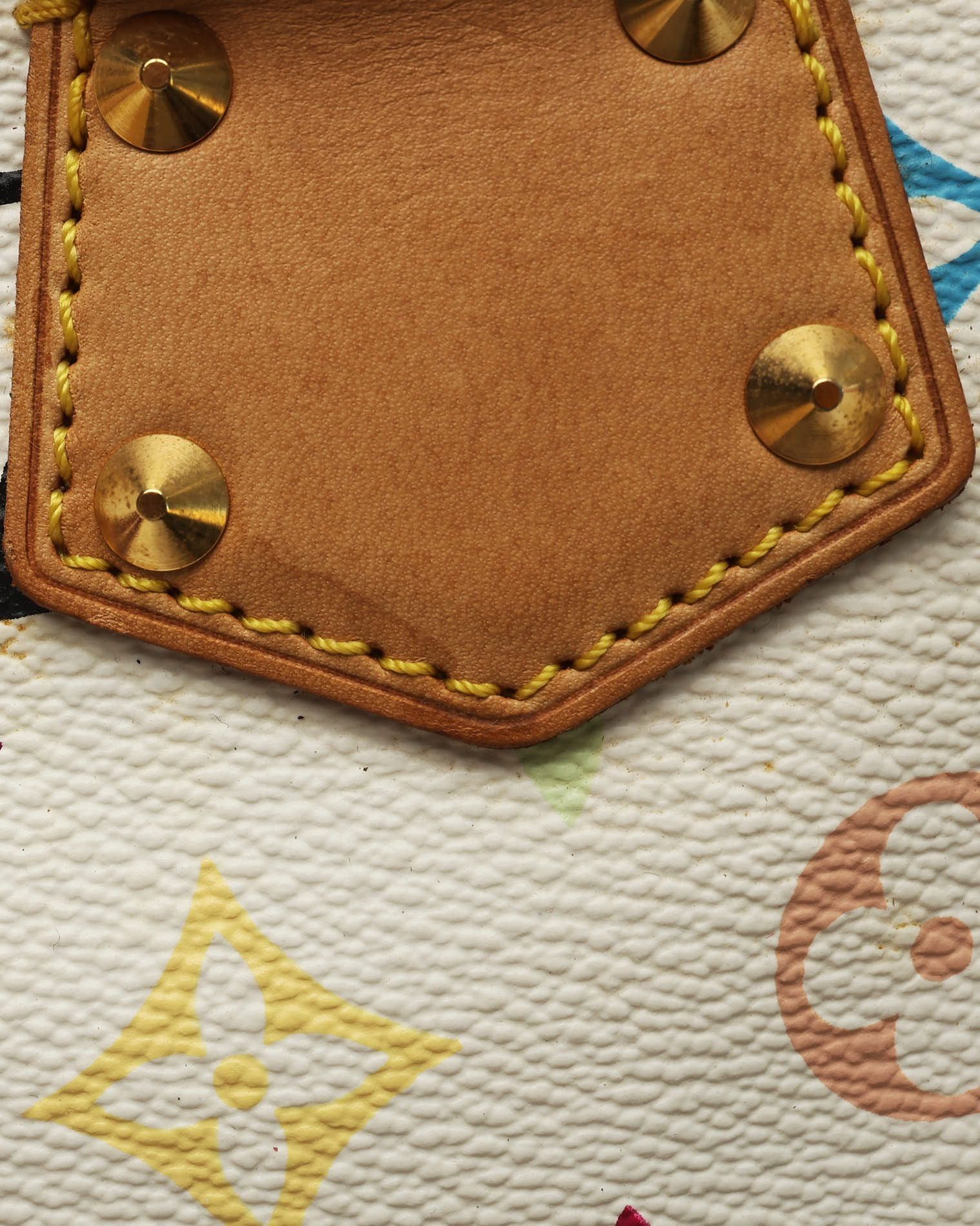Takashi Murakami Speedy 30 Bag — view 8