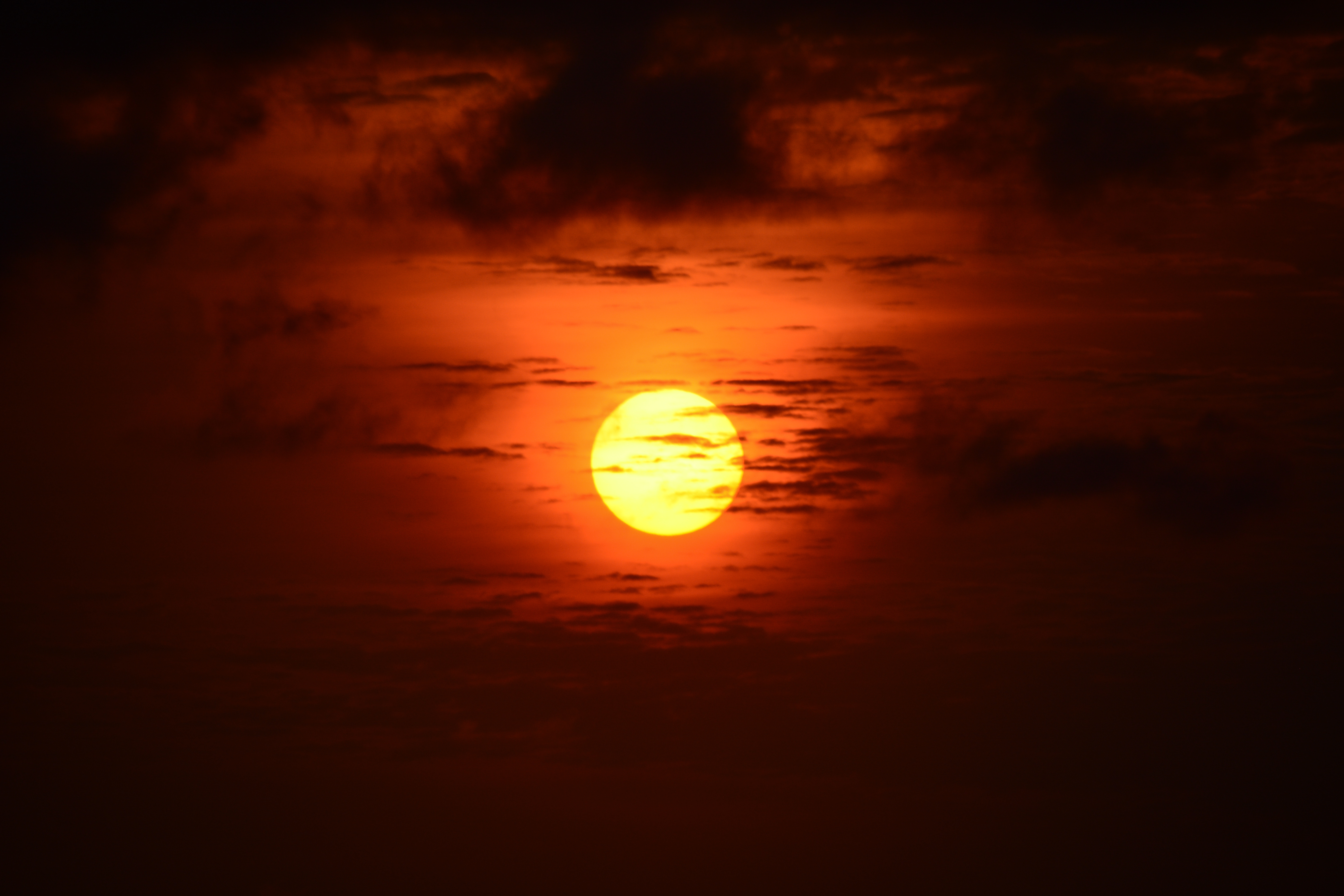 Freeflow photo 7