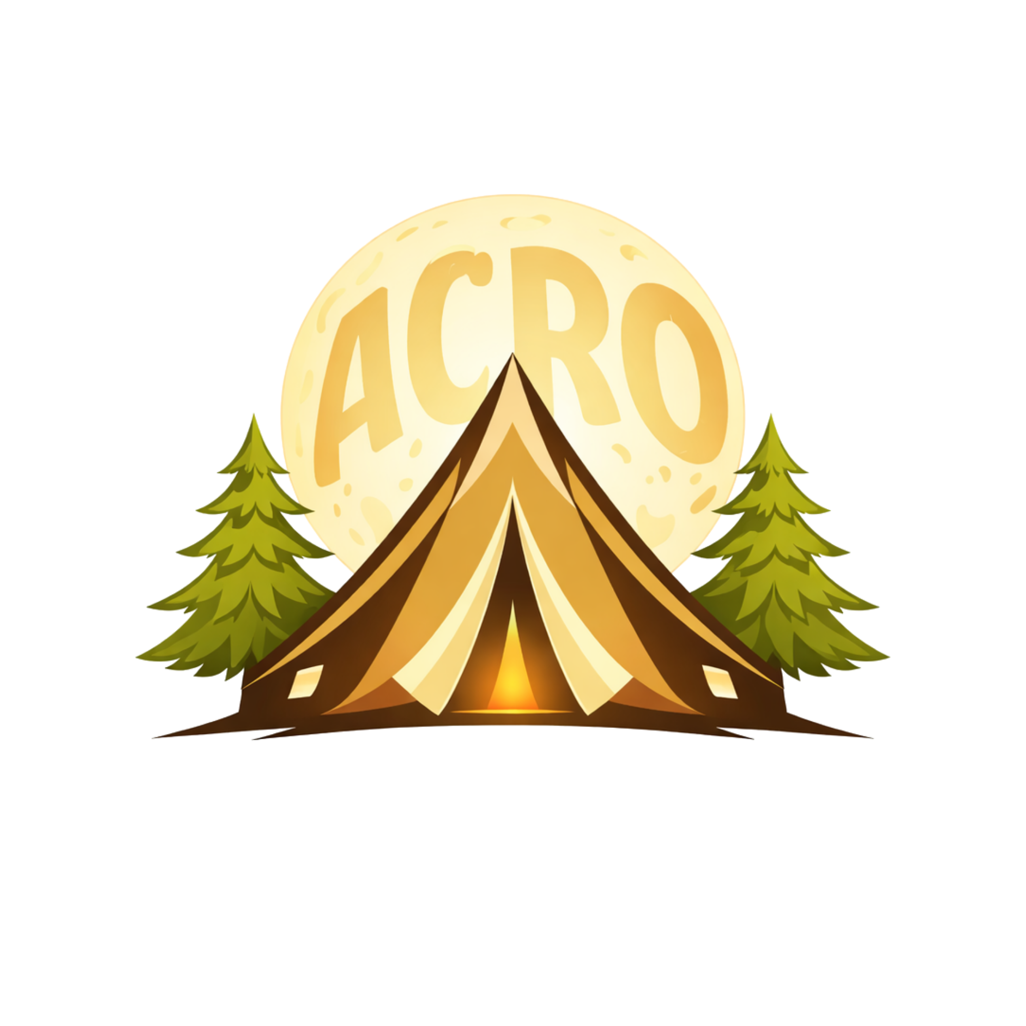 Level Up Acro Camp 2027