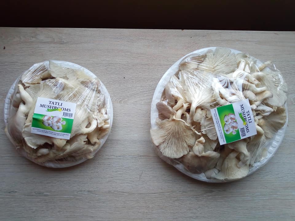 Tatli Mushrooms