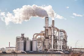 Platinum Gardens - image 3