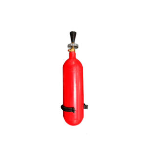 CO2 1 KG. - AUTOMOTOR - INFLANEUMATICO. "BC"